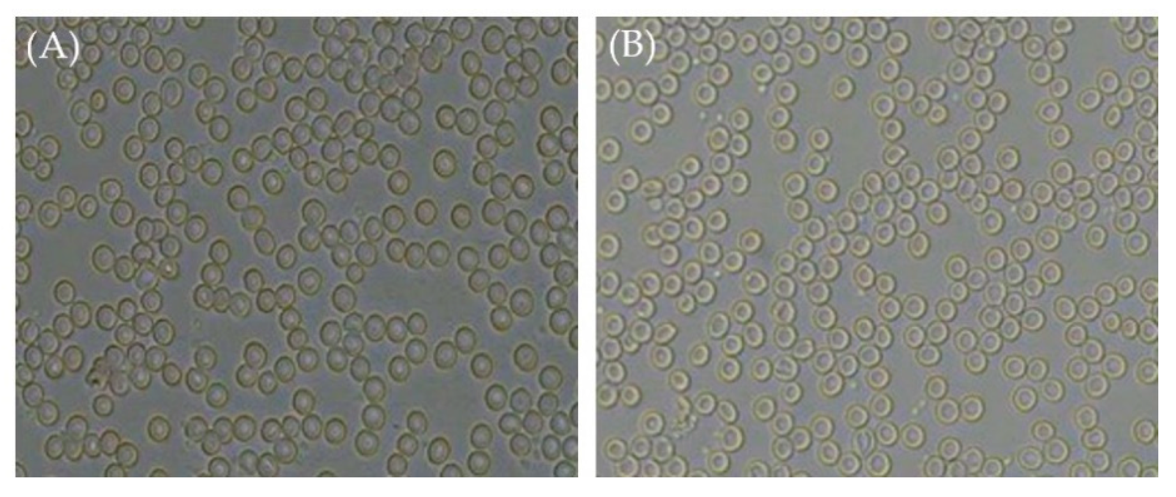 Pharmaceuticals 16 01001 g006 Pharmaceuticals 16 01001 g006