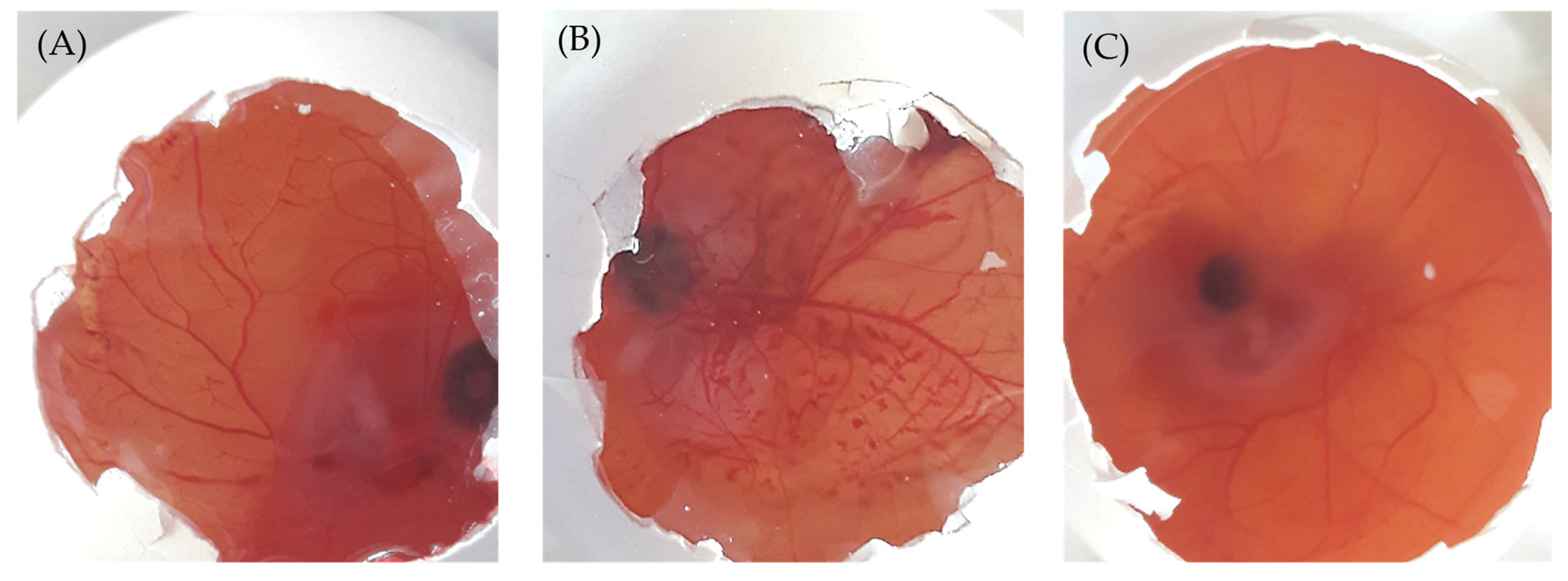 Pharmaceuticals 16 01001 g007 Pharmaceuticals 16 01001 g007