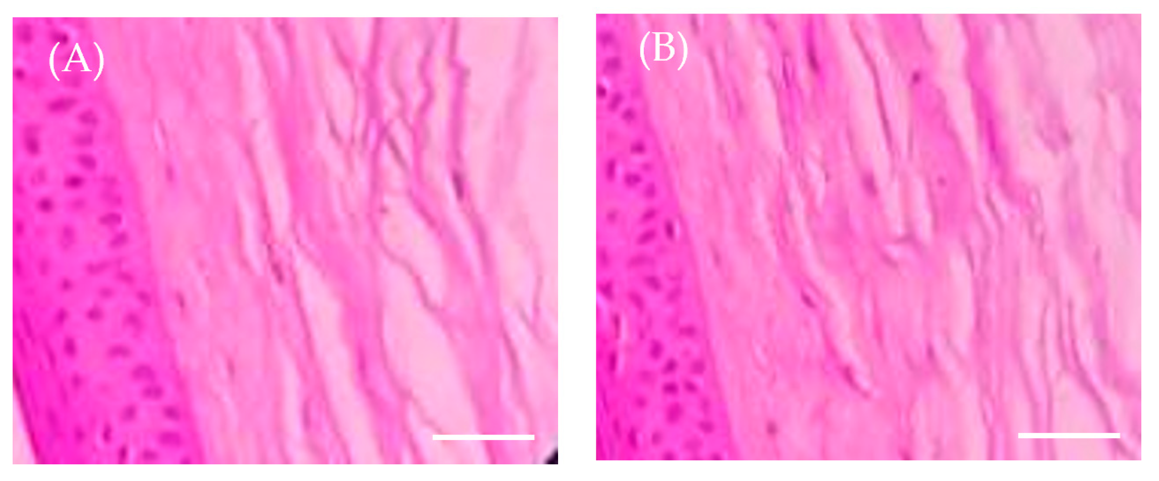 Pharmaceuticals 16 01001 g008 Pharmaceuticals 16 01001 g008