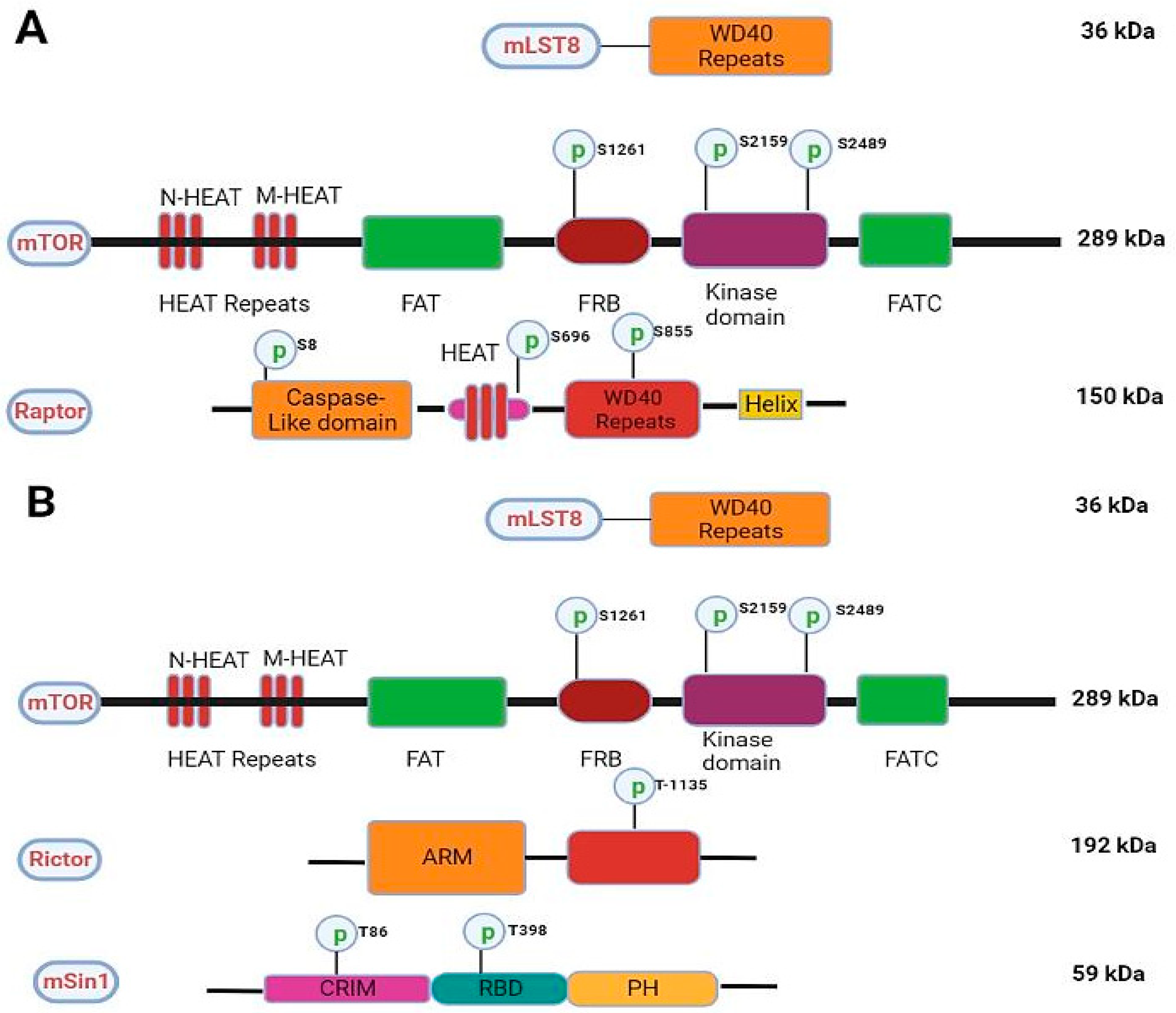 Pharmaceuticals 16 01004 g002 Pharmaceuticals 16 01004 g002