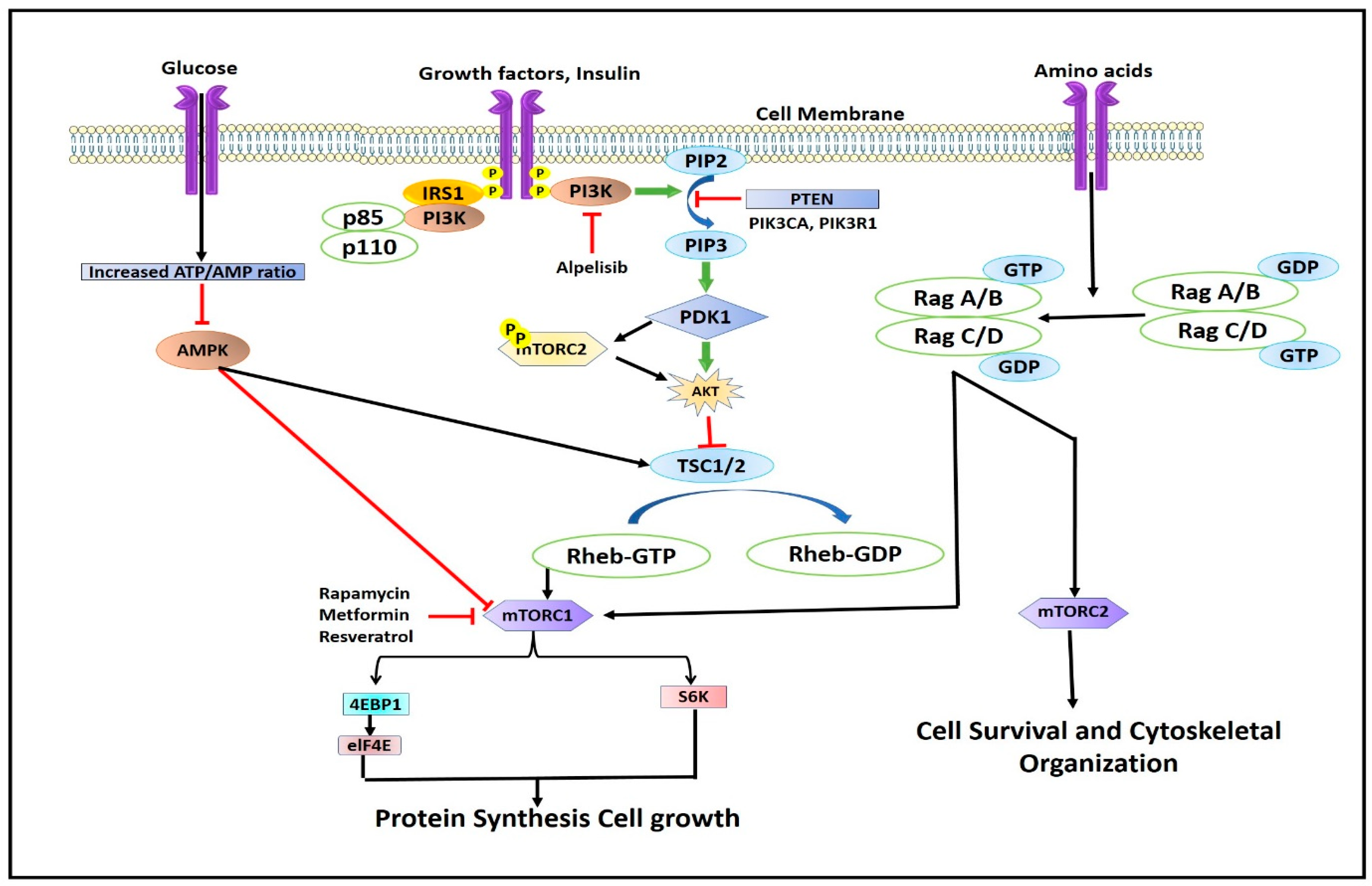 Pharmaceuticals 16 01004 g003 Pharmaceuticals 16 01004 g003