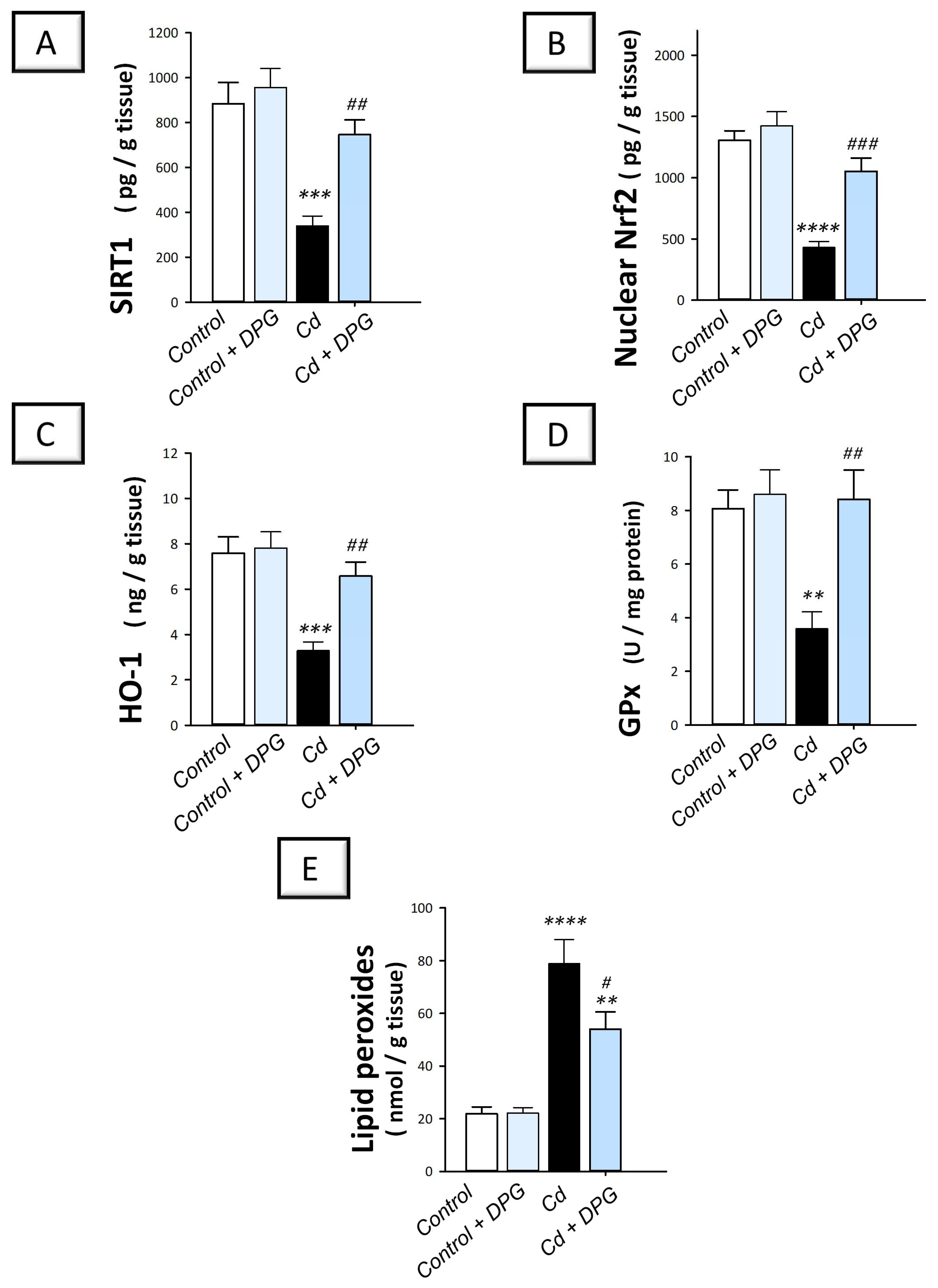 Pharmaceuticals 16 01006 g004 Pharmaceuticals 16 01006 g004