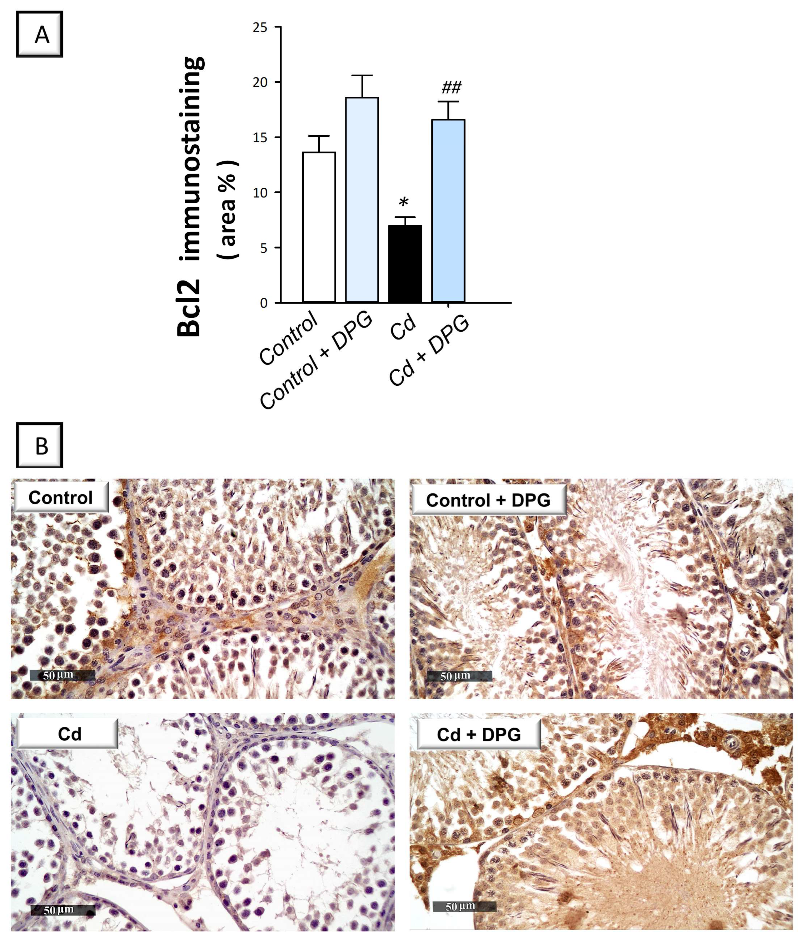 Pharmaceuticals 16 01006 g006 Pharmaceuticals 16 01006 g006