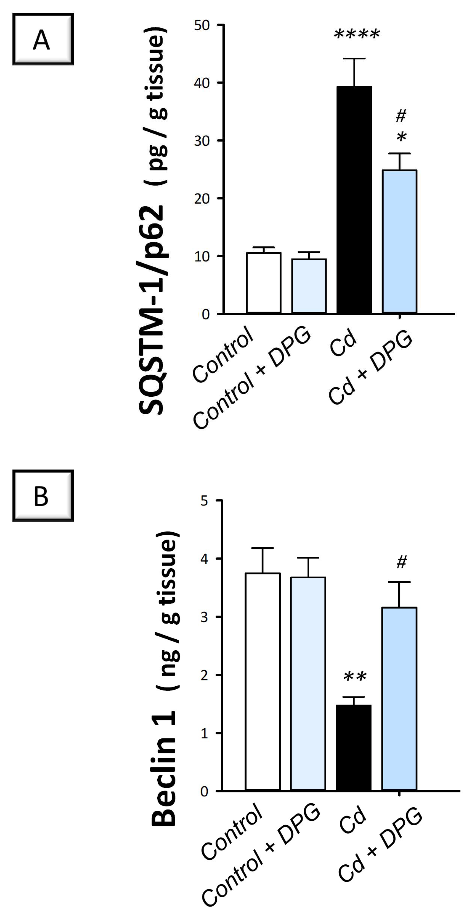 Pharmaceuticals 16 01006 g007 Pharmaceuticals 16 01006 g007