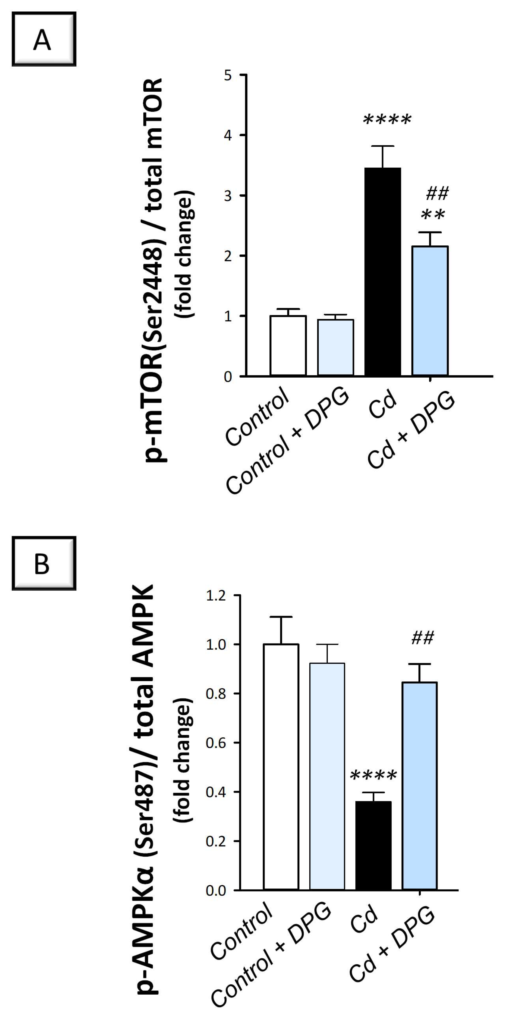 Pharmaceuticals 16 01006 g008 Pharmaceuticals 16 01006 g008