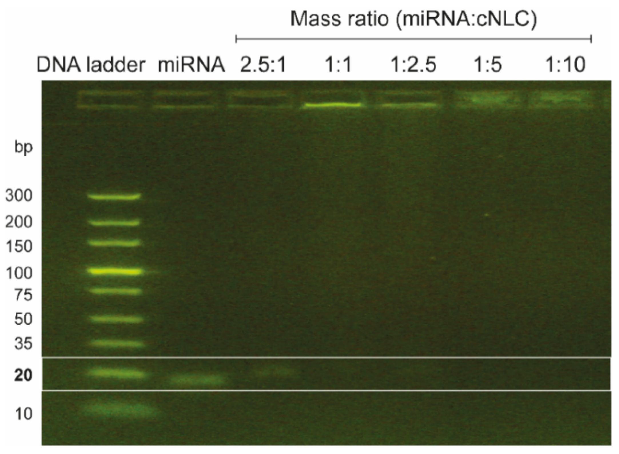 Pharmaceuticals 16 01007 g004 Pharmaceuticals 16 01007 g004