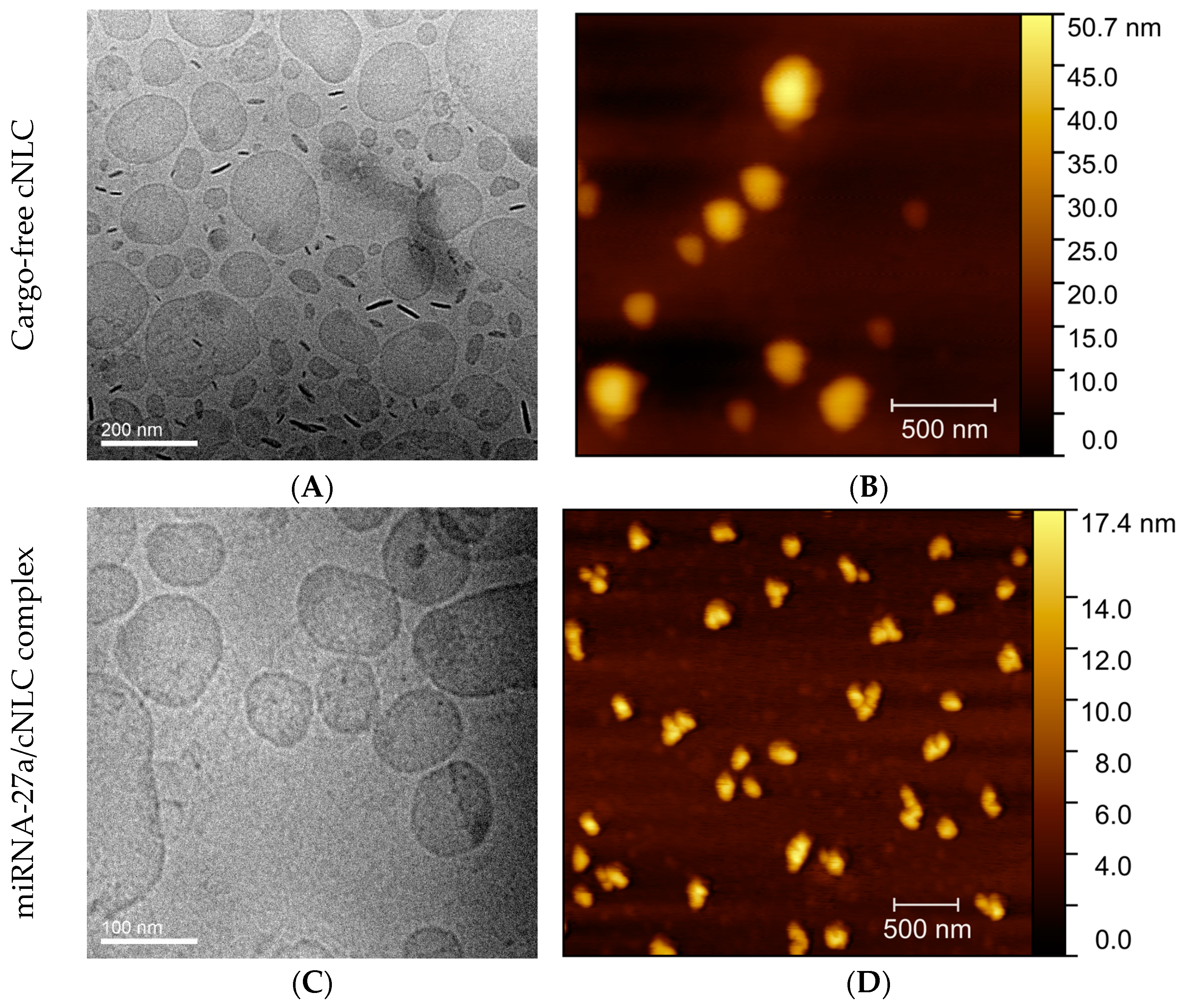 Pharmaceuticals 16 01007 g006 Pharmaceuticals 16 01007 g006