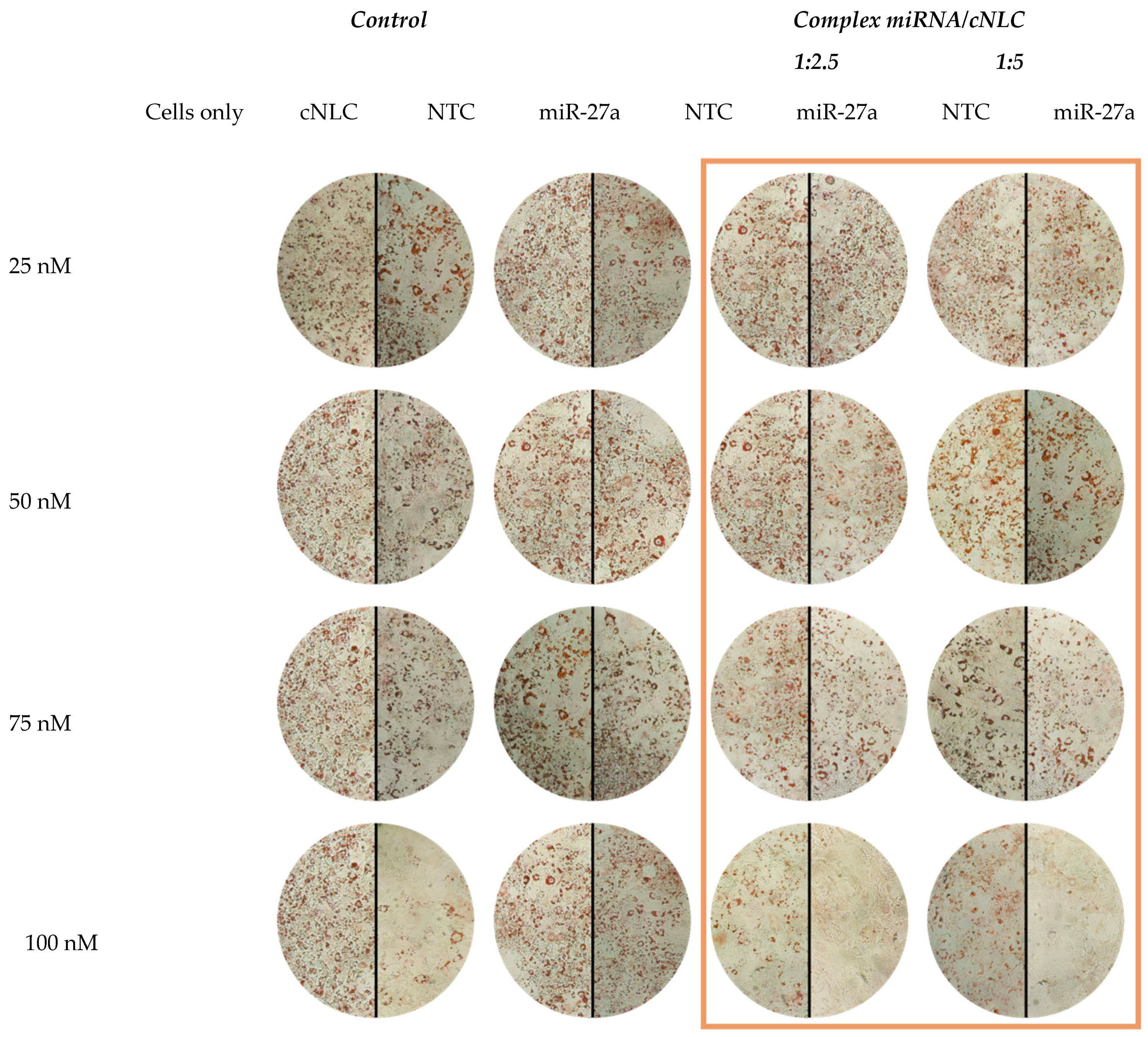 Pharmaceuticals 16 01007 g009 Pharmaceuticals 16 01007 g009