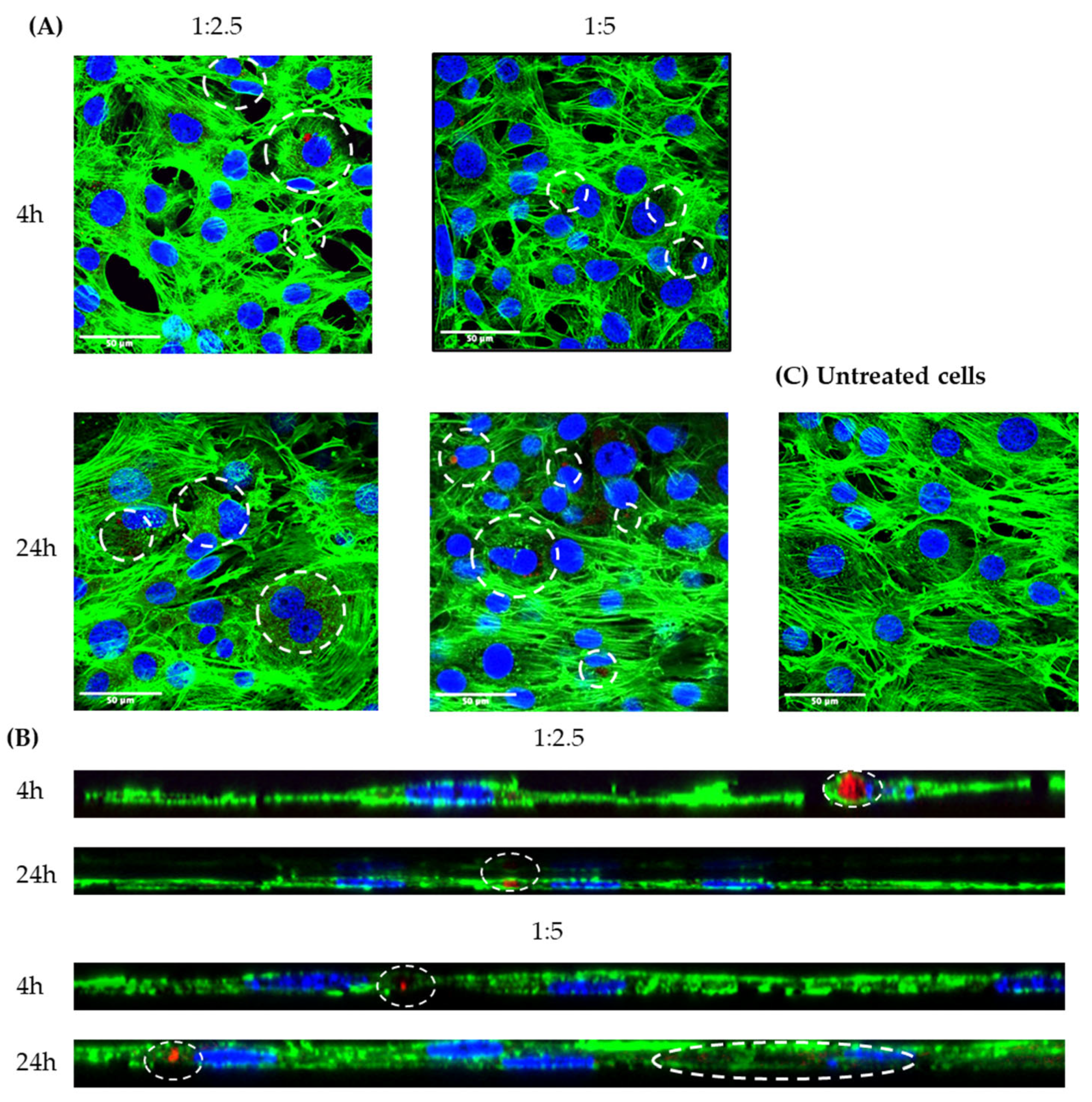 Pharmaceuticals 16 01007 g012 Pharmaceuticals 16 01007 g012