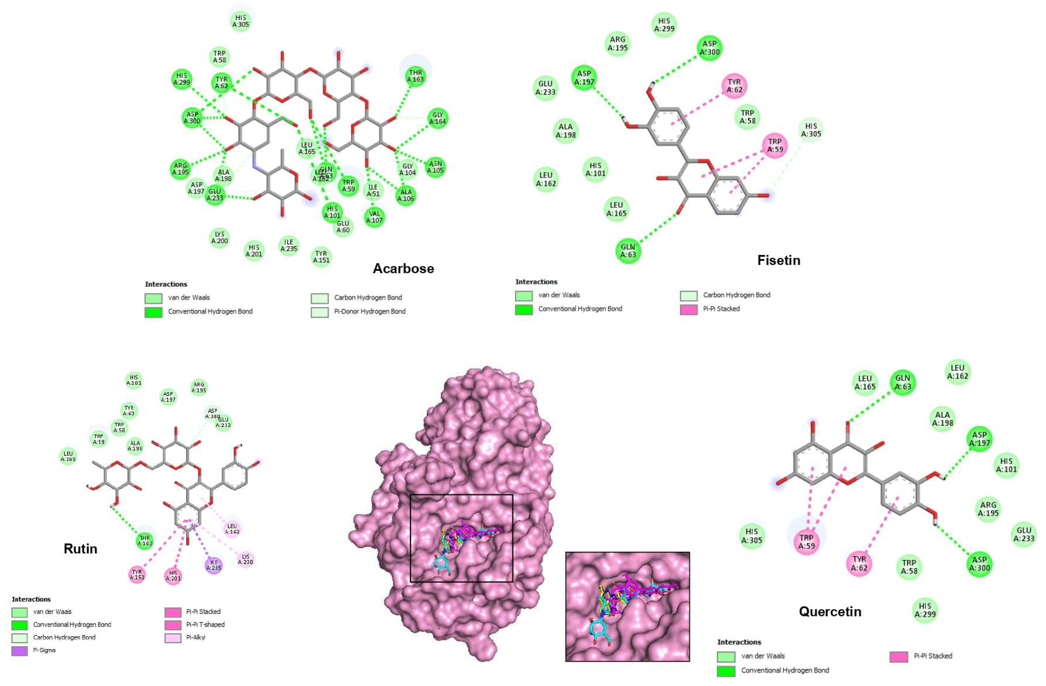 Pharmaceuticals 16 01015 g003
