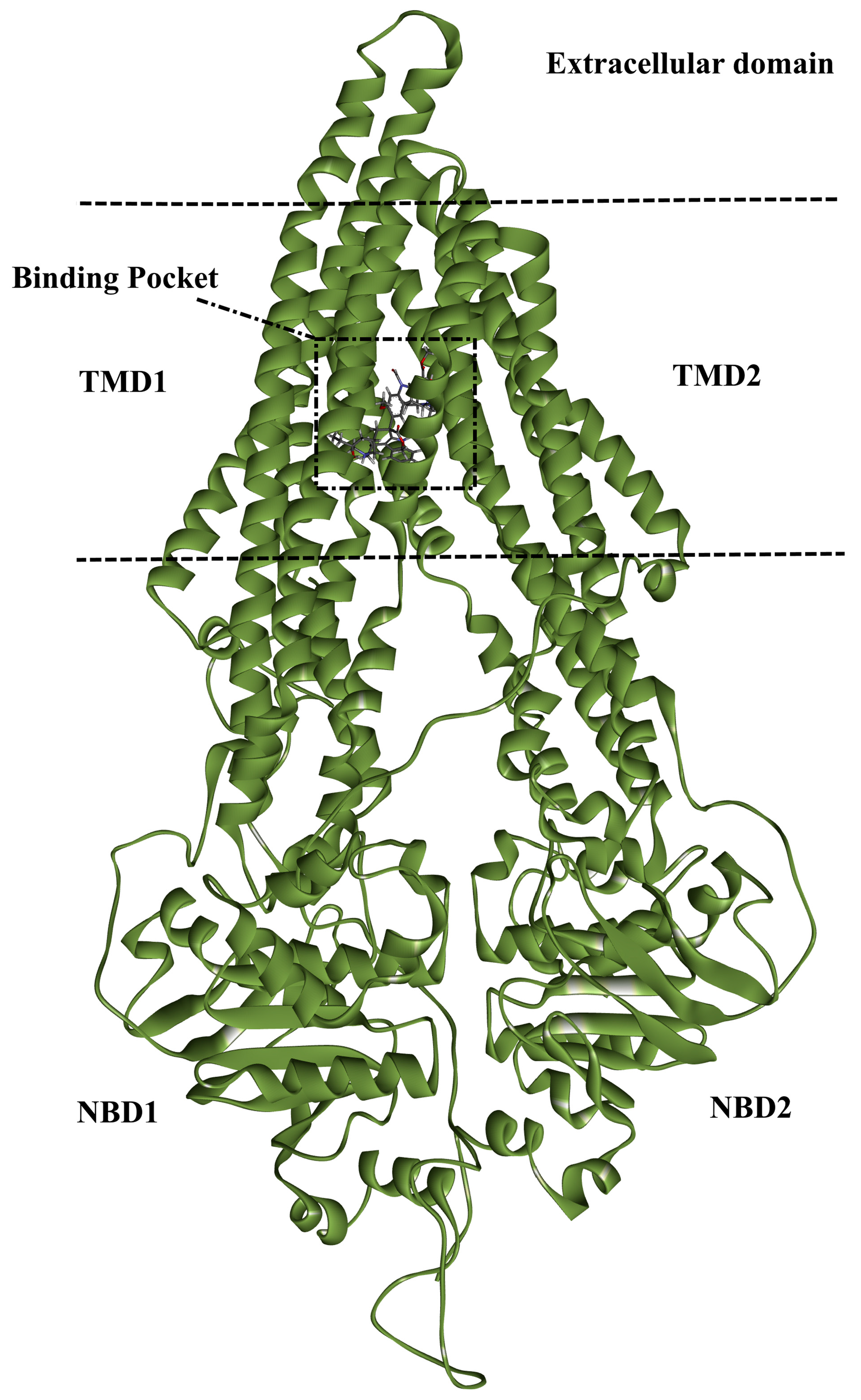 Pharmaceuticals 16 01019 g001