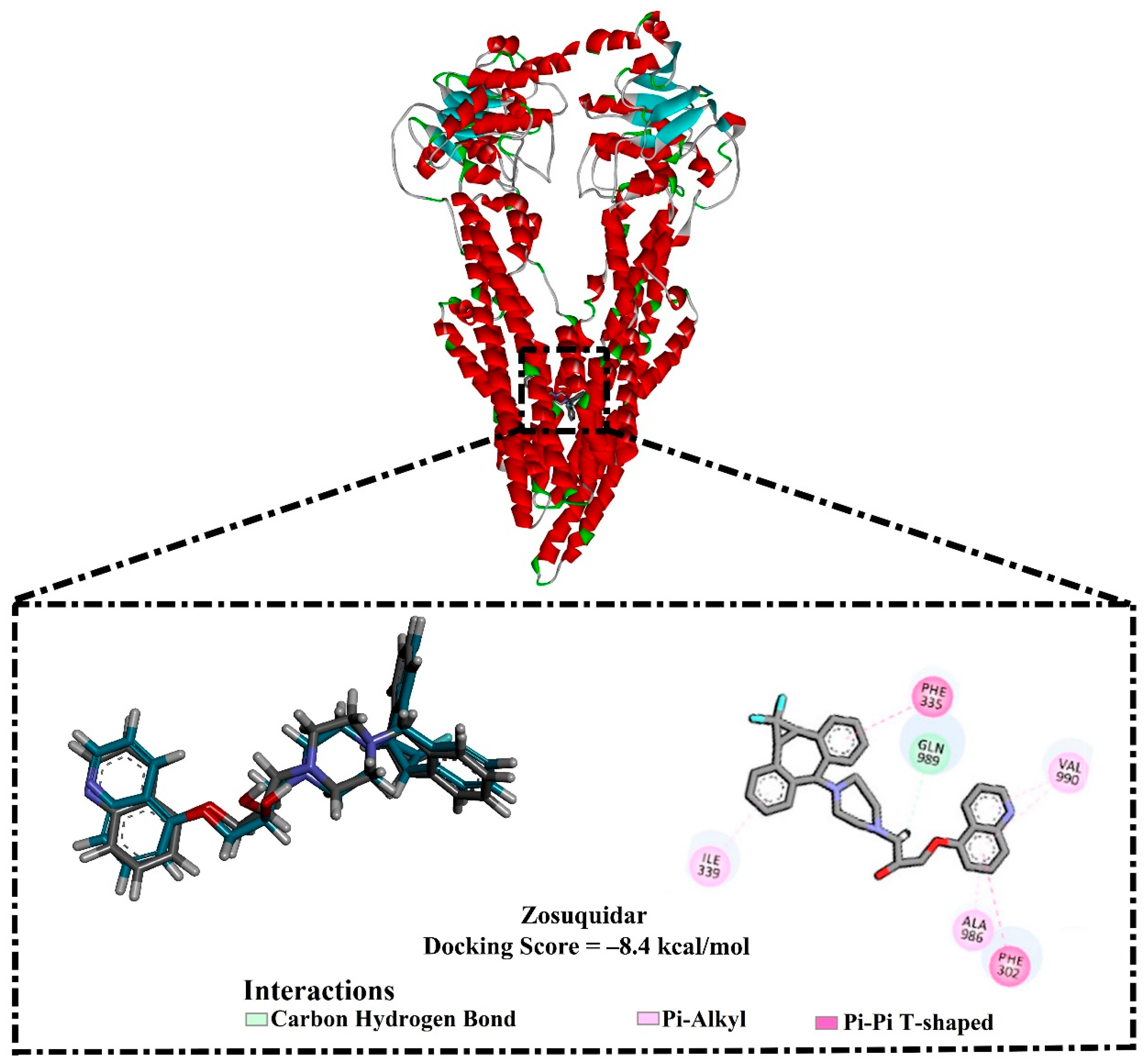 Pharmaceuticals 16 01019 g003