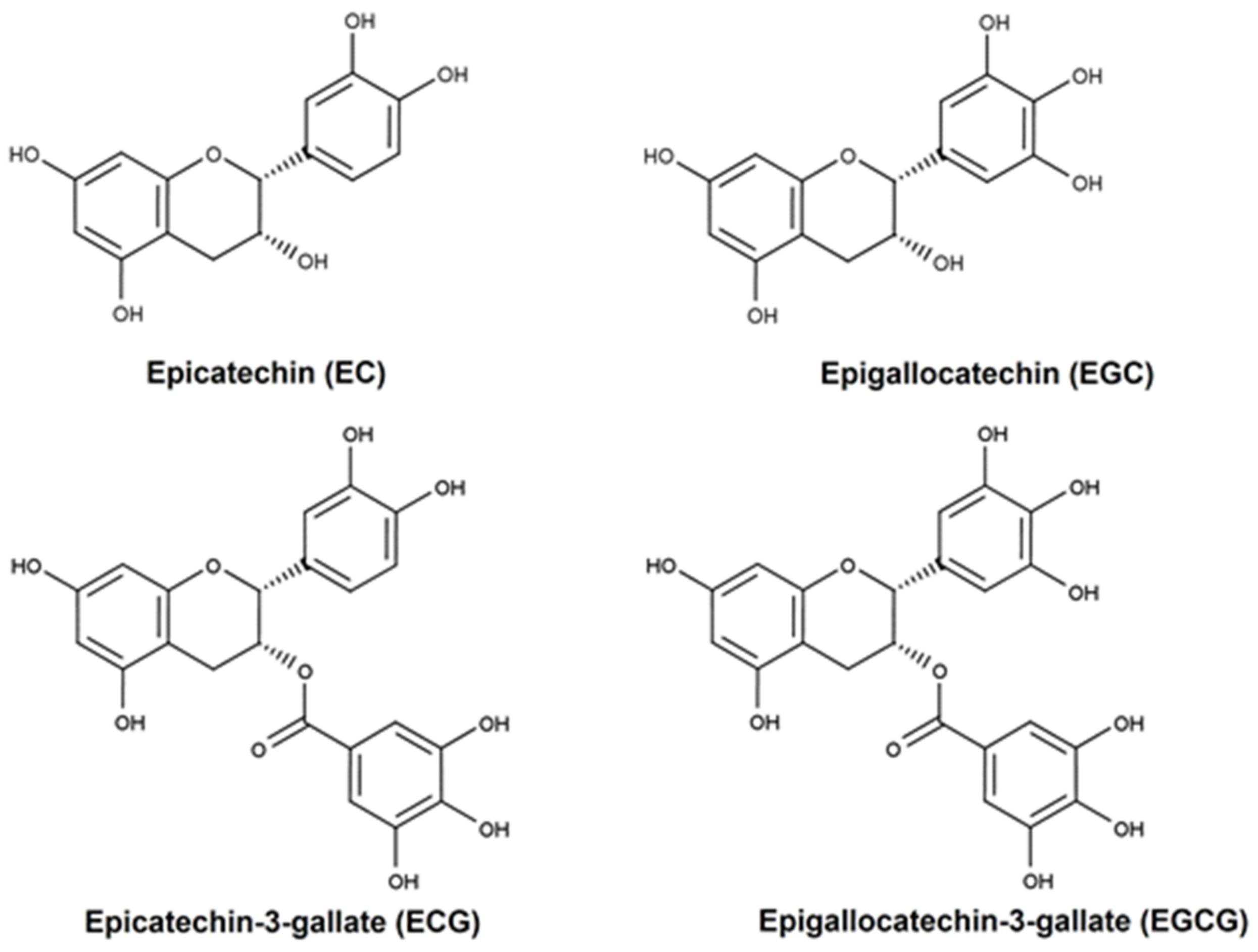 Pharmaceuticals 16 01021 g001