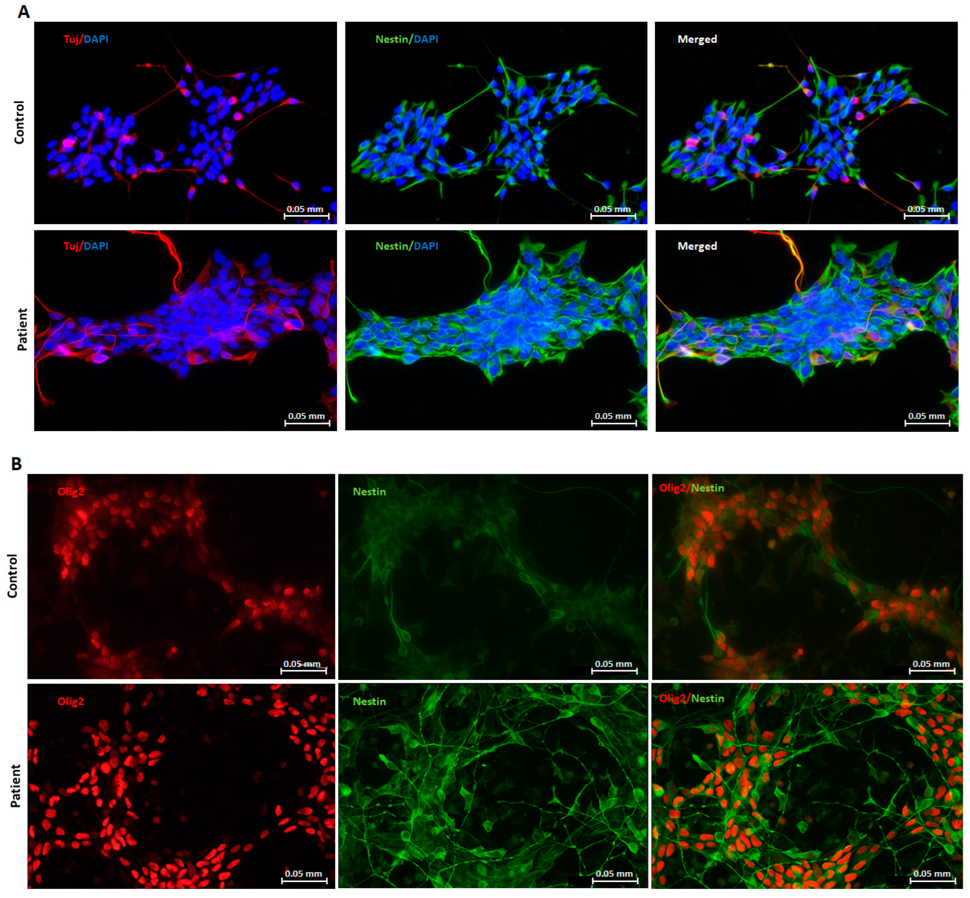 Pharmaceuticals 16 01034 g001 Pharmaceuticals 16 01034 g001