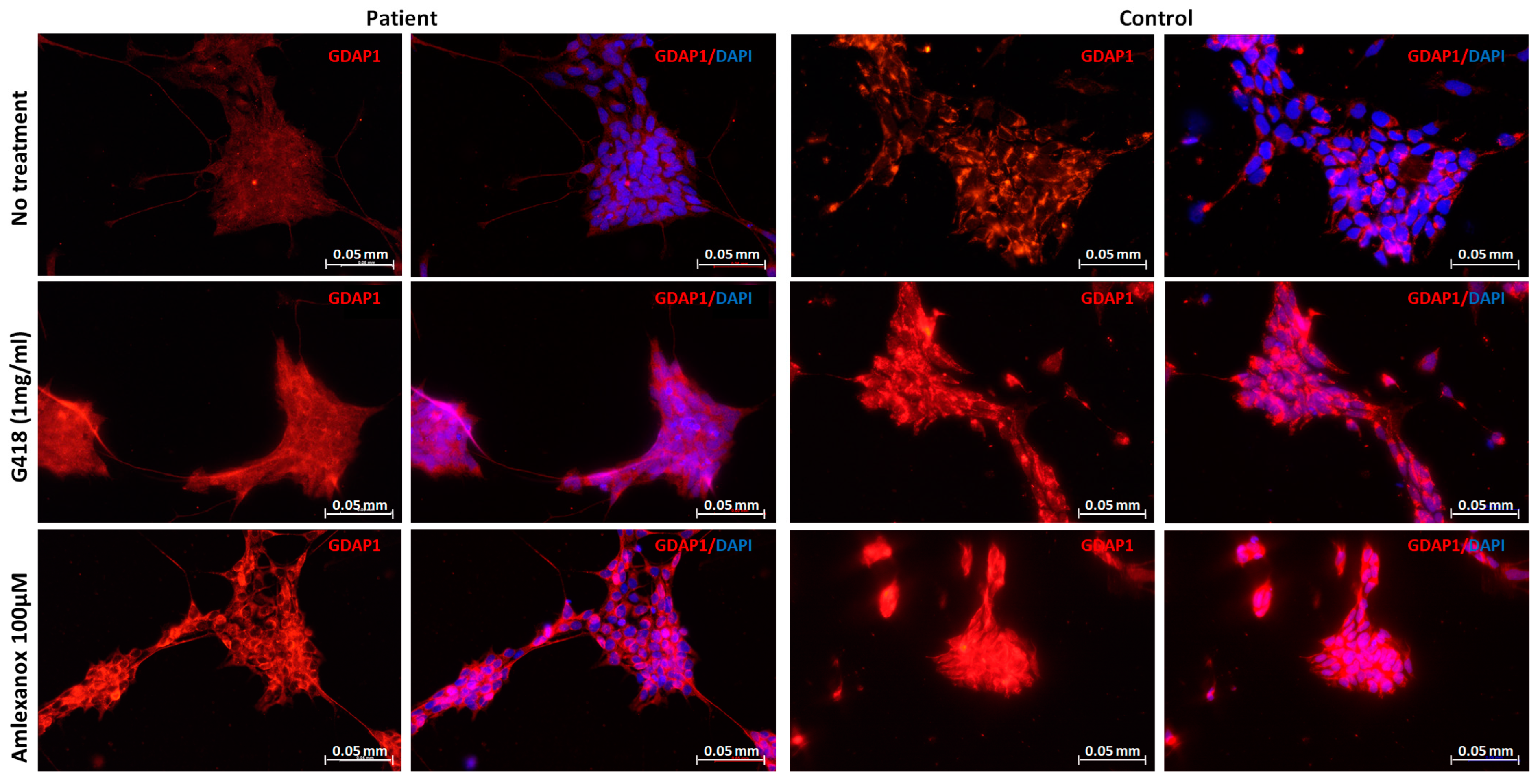 Pharmaceuticals 16 01034 g003 Pharmaceuticals 16 01034 g003