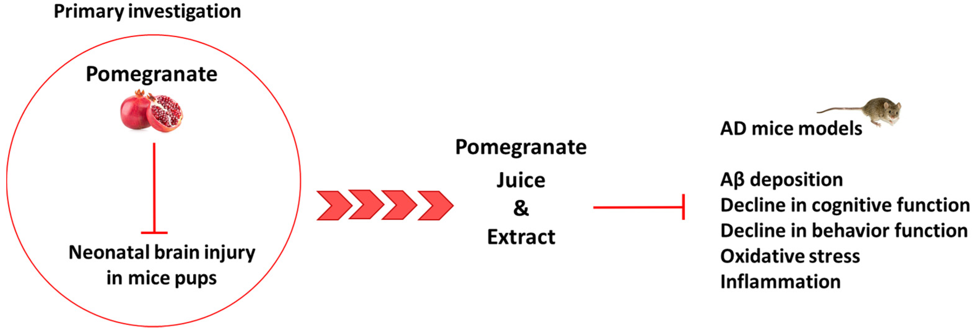 Pharmaceuticals 16 01036 g003 Pharmaceuticals 16 01036 g003