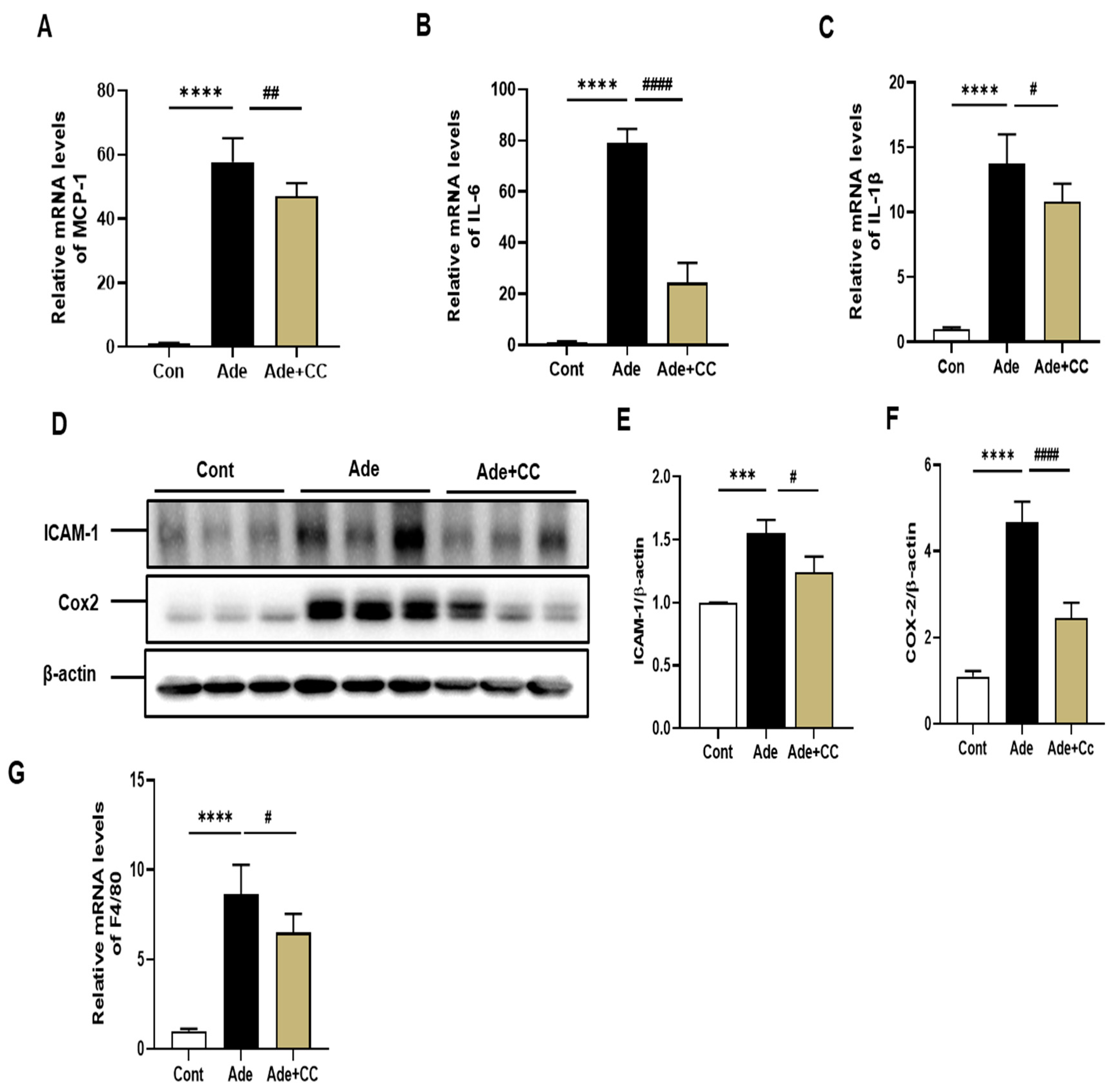 Pharmaceuticals 16 01048 g004 Pharmaceuticals 16 01048 g004