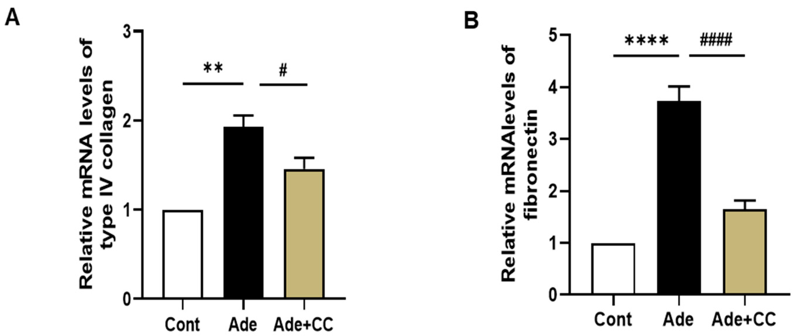 Pharmaceuticals 16 01048 g005 Pharmaceuticals 16 01048 g005