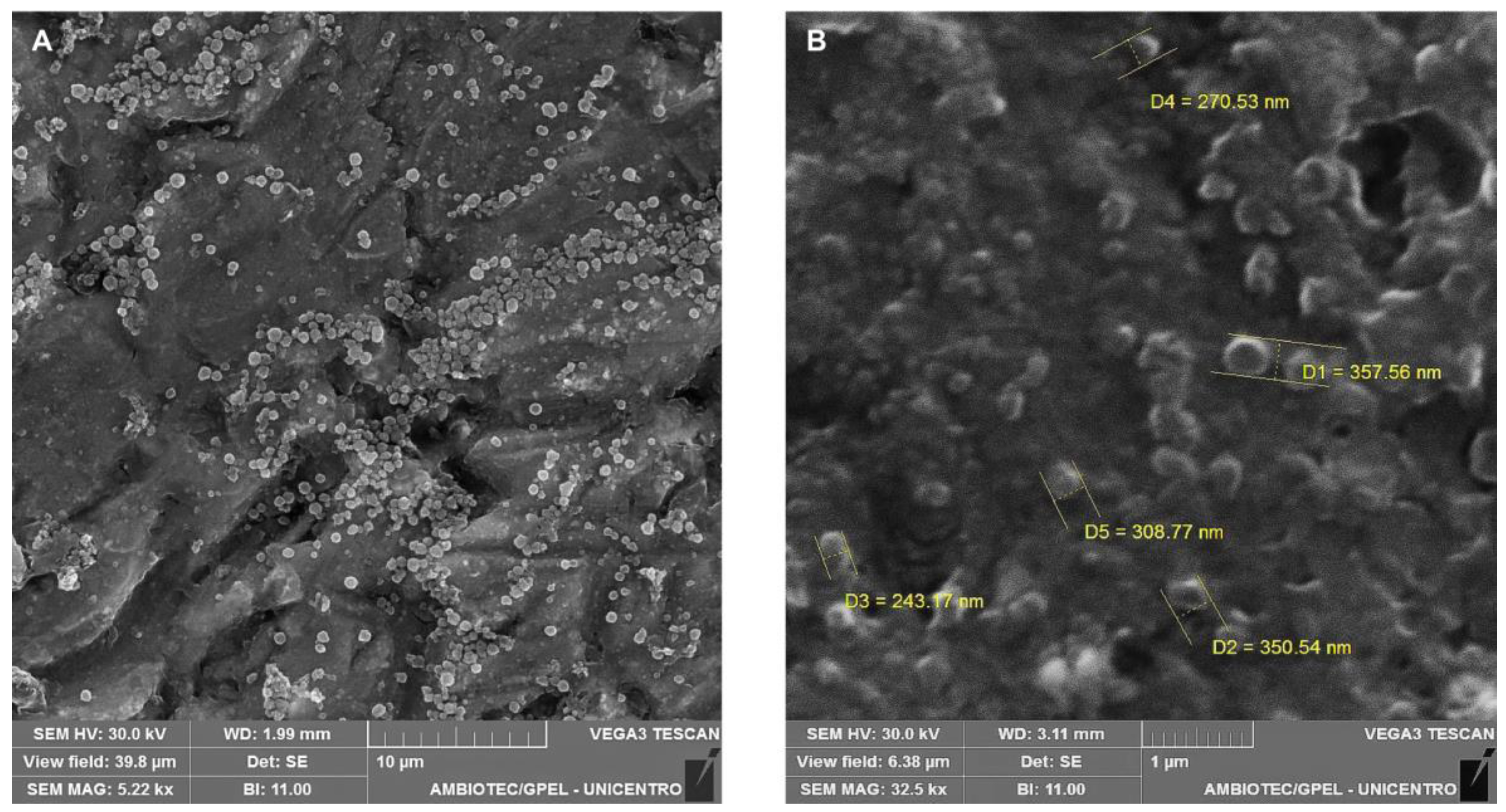 Pharmaceuticals 16 01055 g001 Pharmaceuticals 16 01055 g001