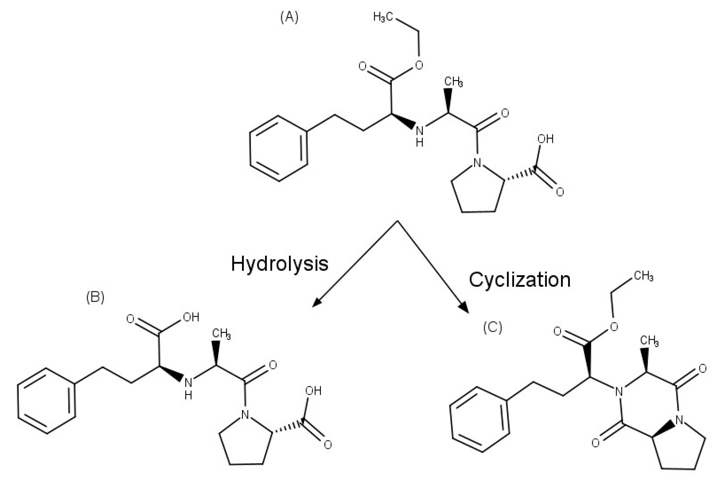 Pharmaceuticals 16 01074 g003 Pharmaceuticals 16 01074 g003