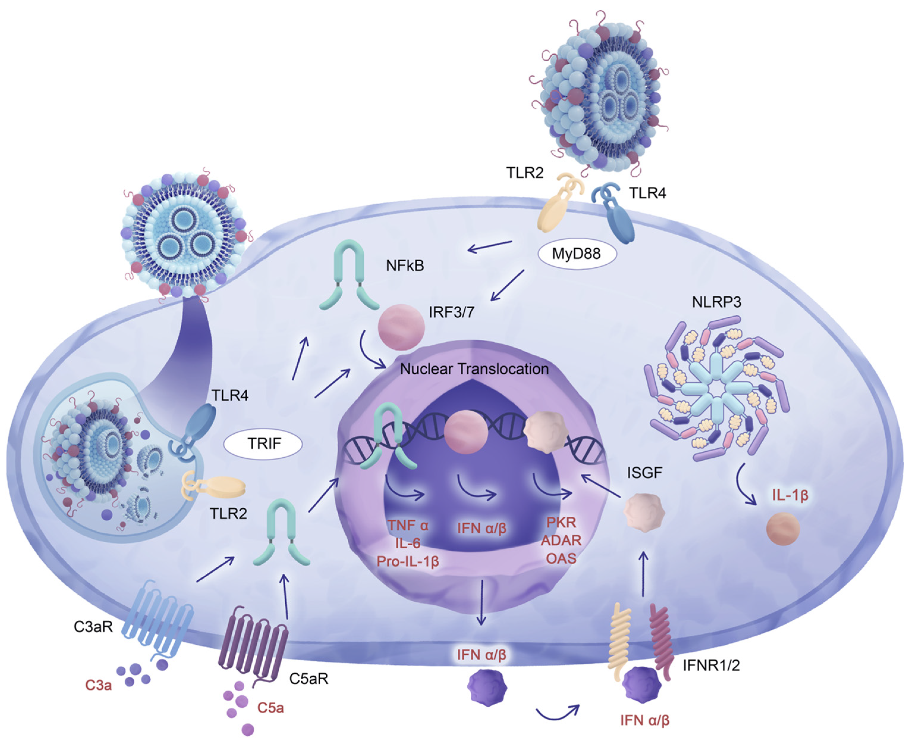 Pharmaceuticals 16 01088 g003 Pharmaceuticals 16 01088 g003