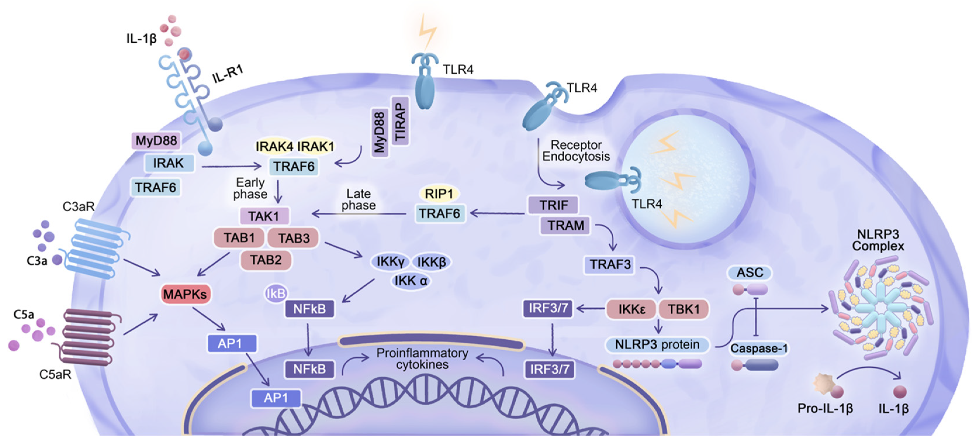 Pharmaceuticals 16 01088 g004 Pharmaceuticals 16 01088 g004
