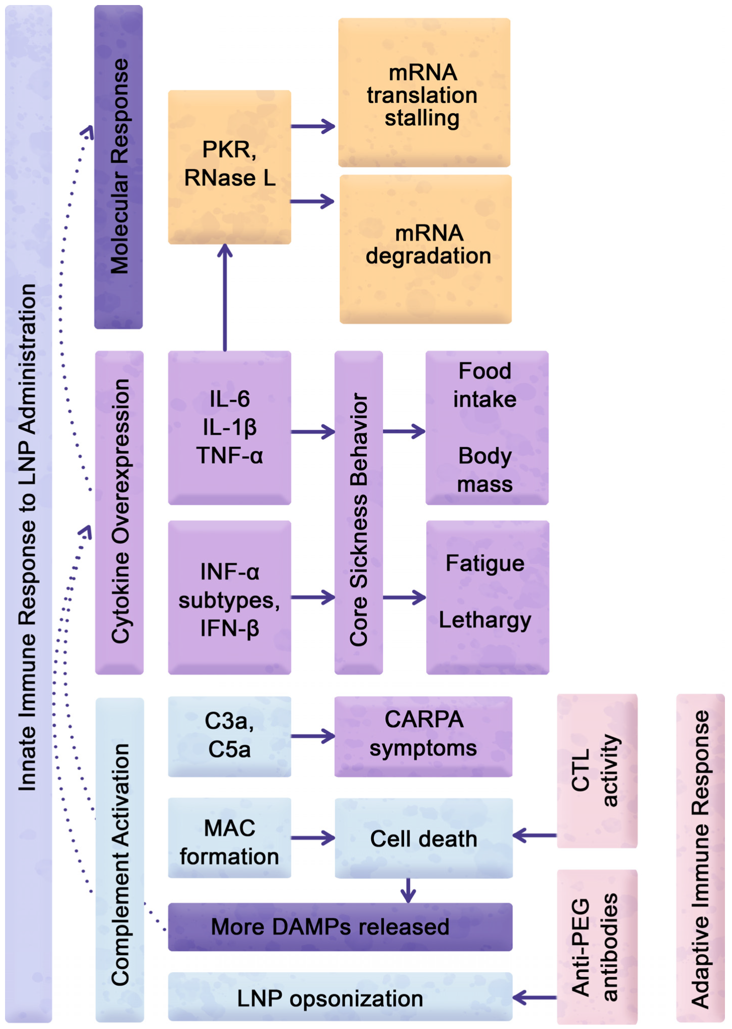 Pharmaceuticals 16 01088 g005 Pharmaceuticals 16 01088 g005