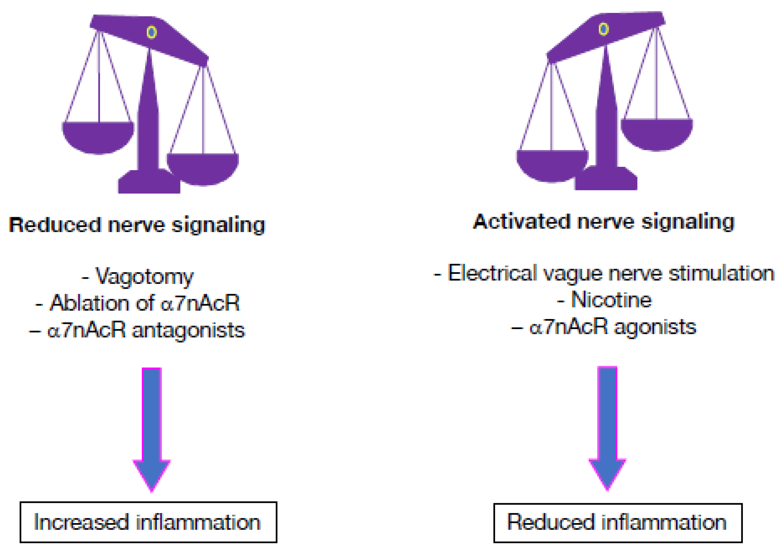 Pharmaceuticals 16 01089 g006 Pharmaceuticals 16 01089 g006
