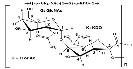 Pharmaceuticals 16 01091 i005