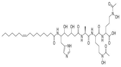 Pharmaceuticals 16 01091 i006