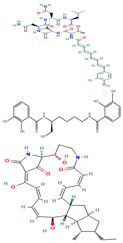 Pharmaceuticals 16 01091 i031