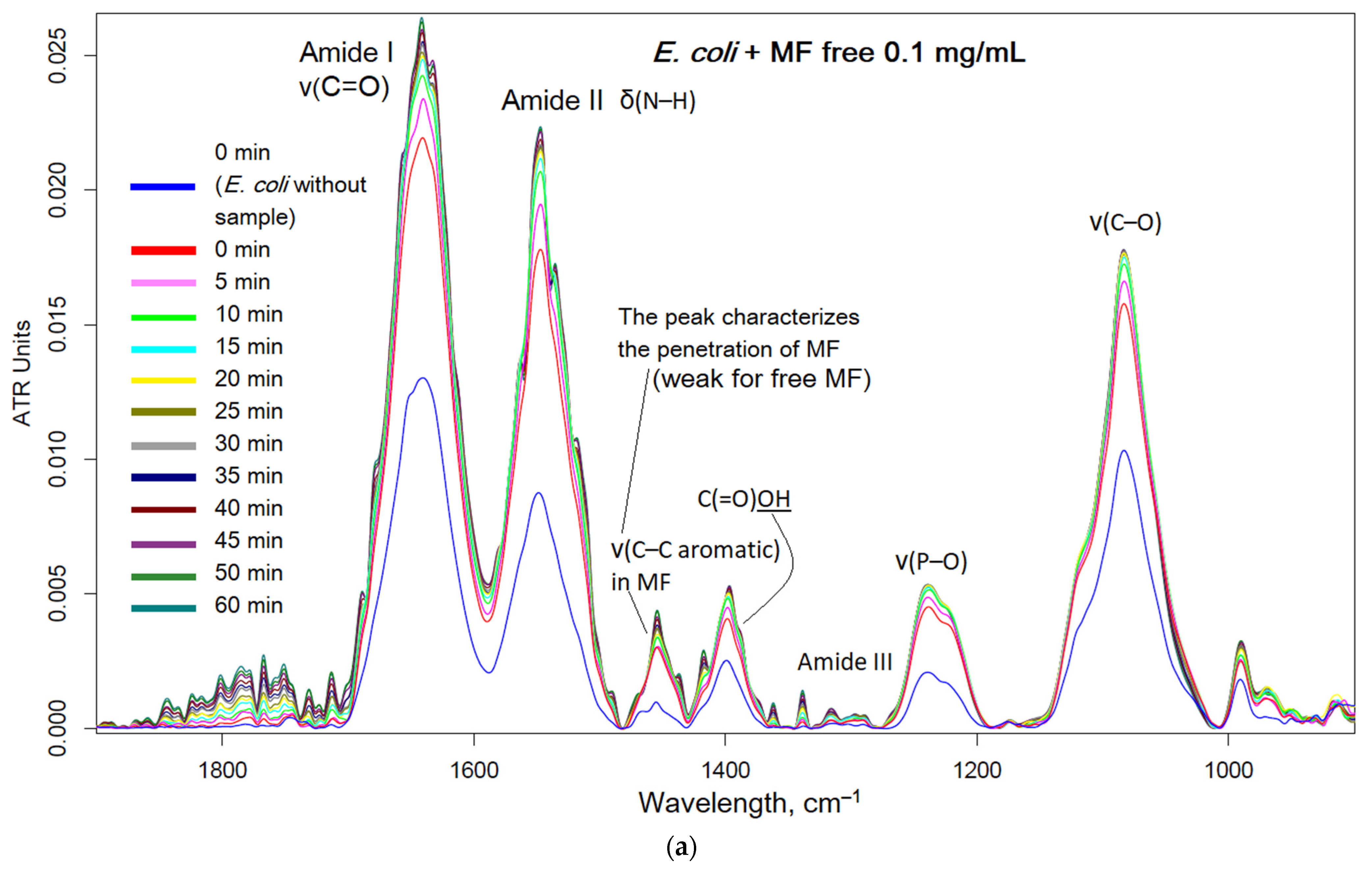 Pharmaceuticals 16 01102 g006a Pharmaceuticals 16 01102 g006a