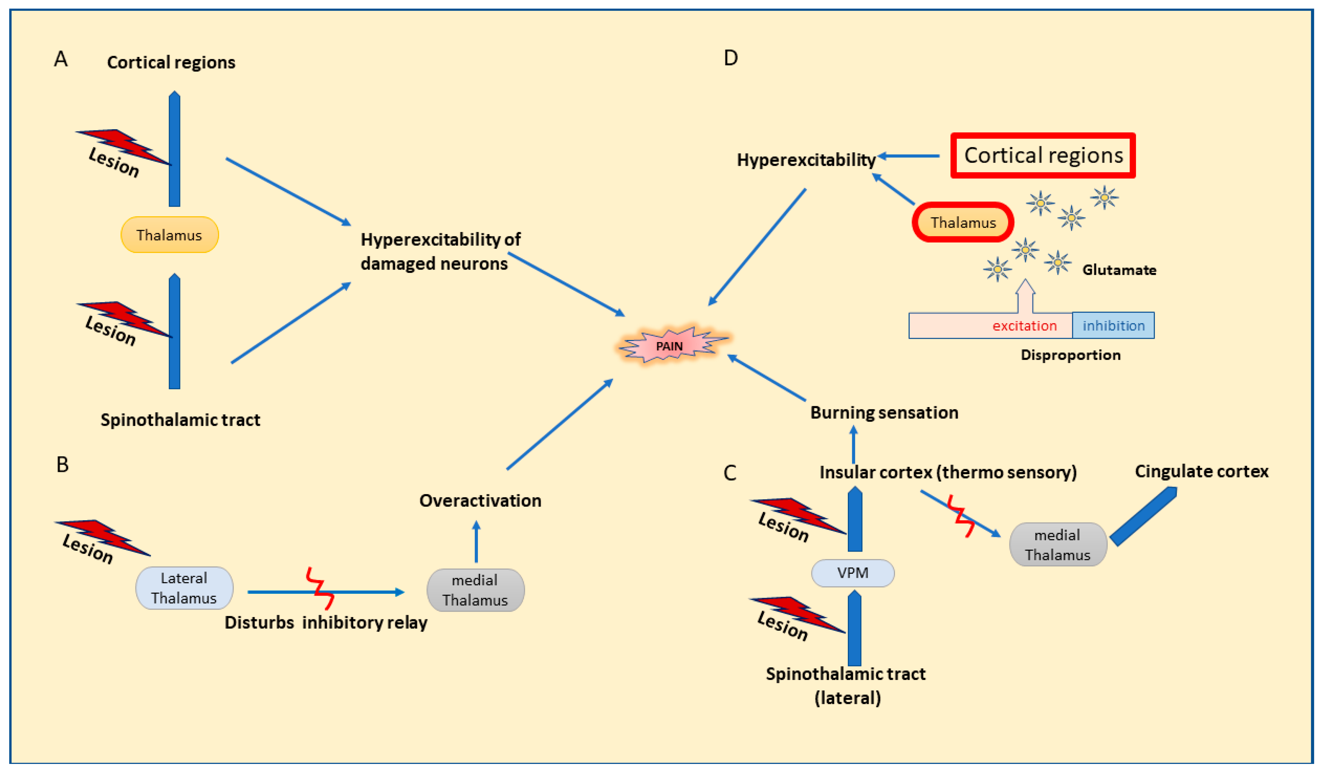 Pharmaceuticals 16 01103 g001 Pharmaceuticals 16 01103 g001