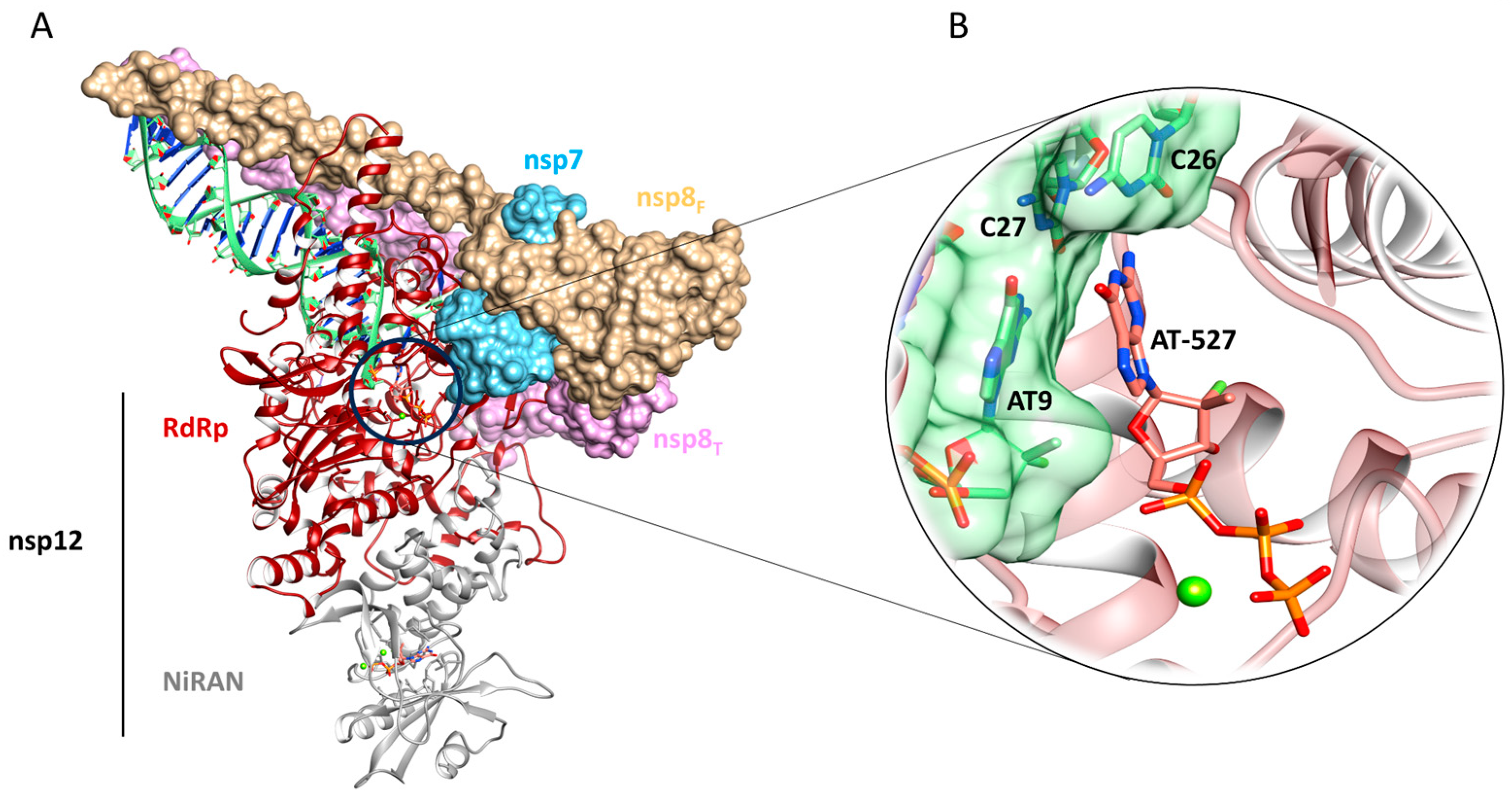 Pharmaceuticals | Free Full-Text | Molecular and Structural