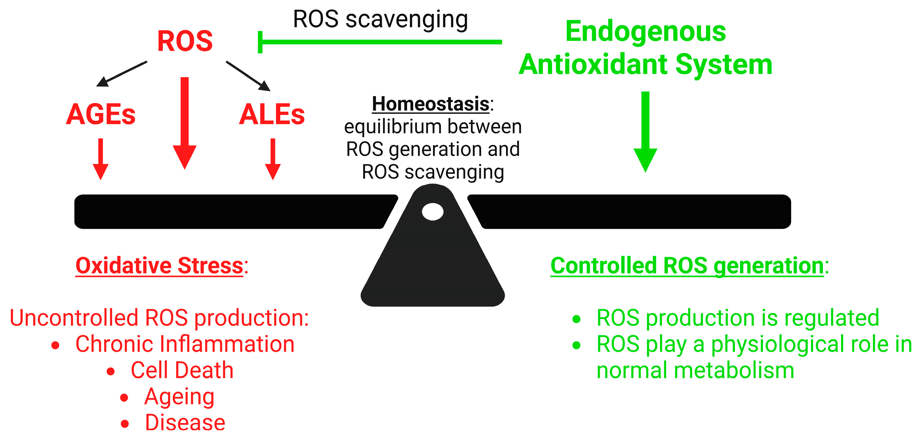 Pharmaceuticals | Free Full-Text | Oxidative Stress and