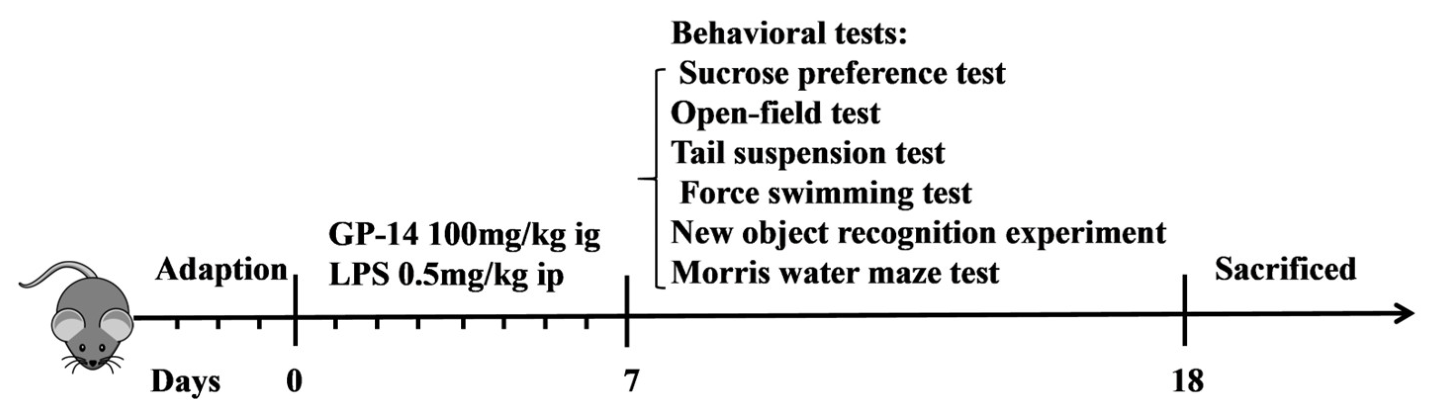 Pharmaceuticals 16 01152 g001 Pharmaceuticals 16 01152 g001