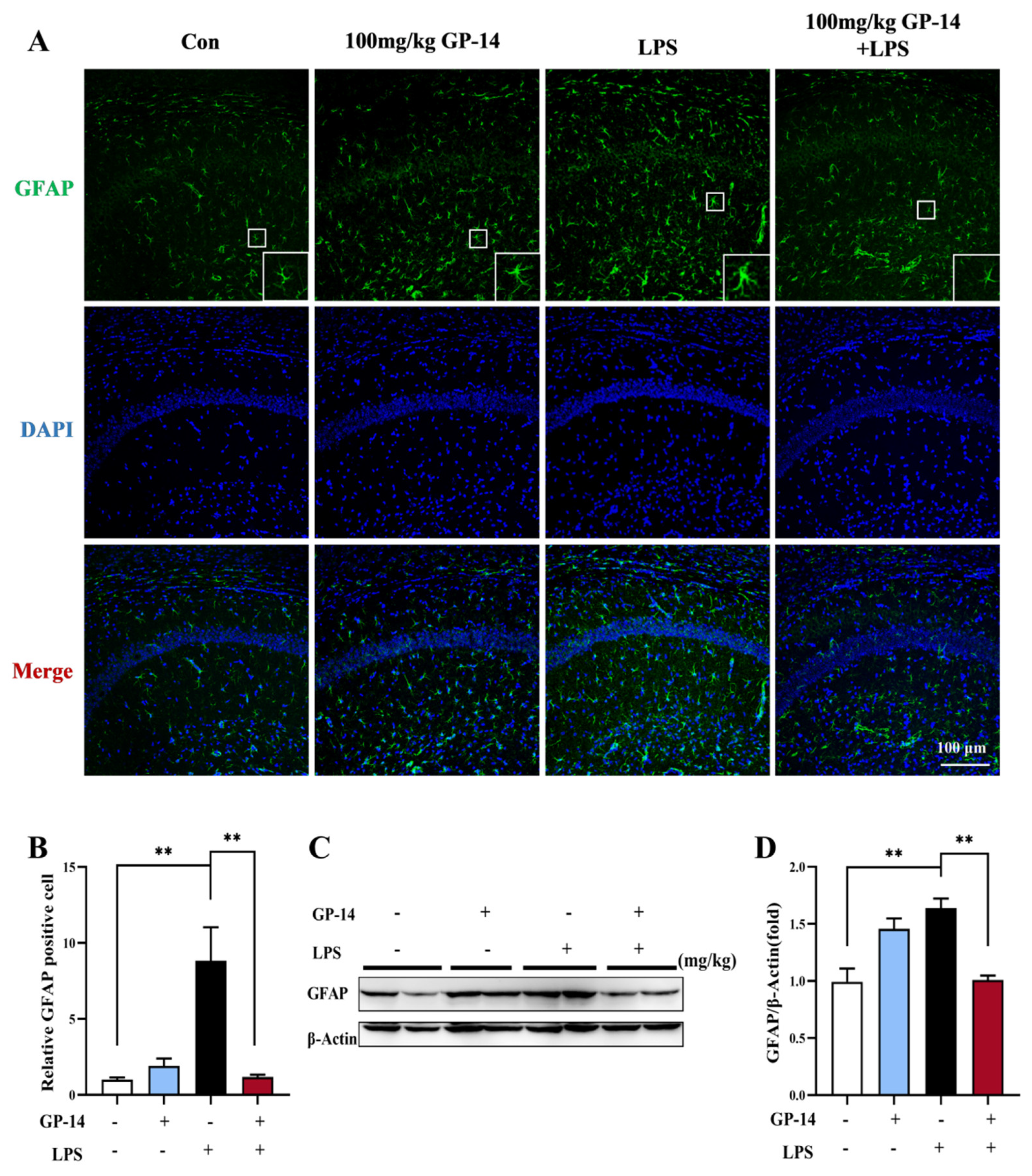 Pharmaceuticals 16 01152 g006 Pharmaceuticals 16 01152 g006