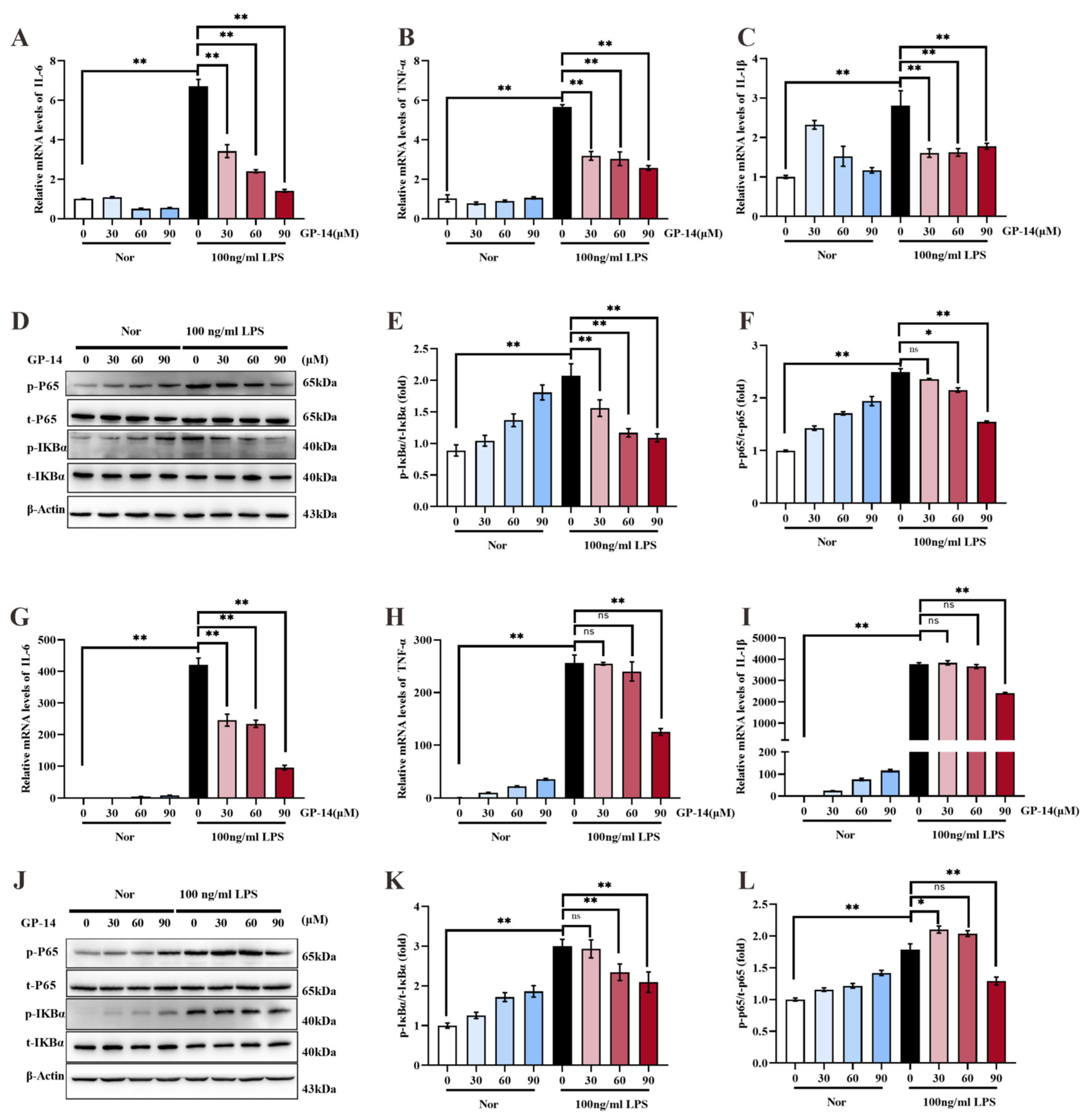 Pharmaceuticals 16 01152 g007 Pharmaceuticals 16 01152 g007