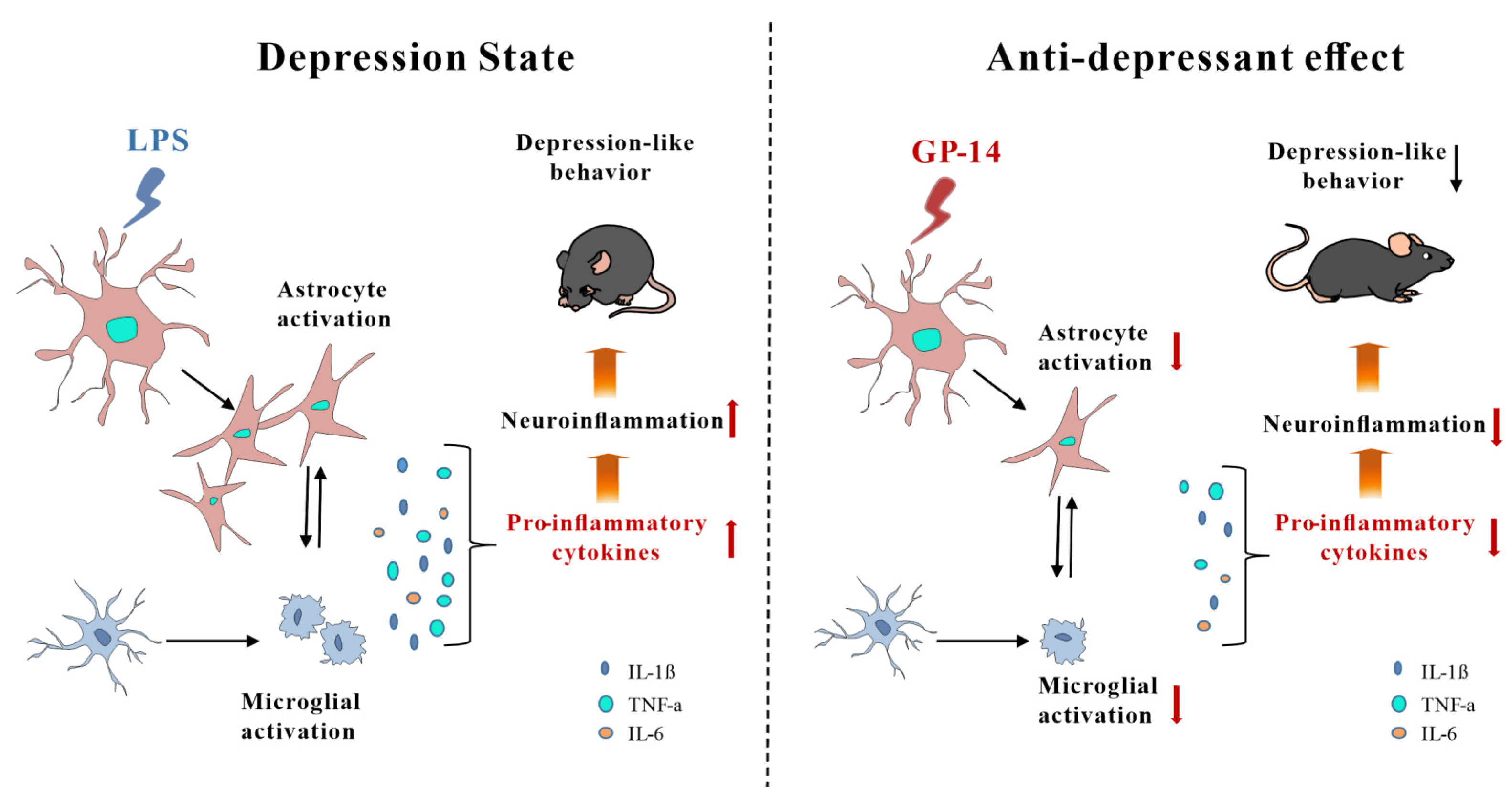 Pharmaceuticals 16 01152 g008 Pharmaceuticals 16 01152 g008