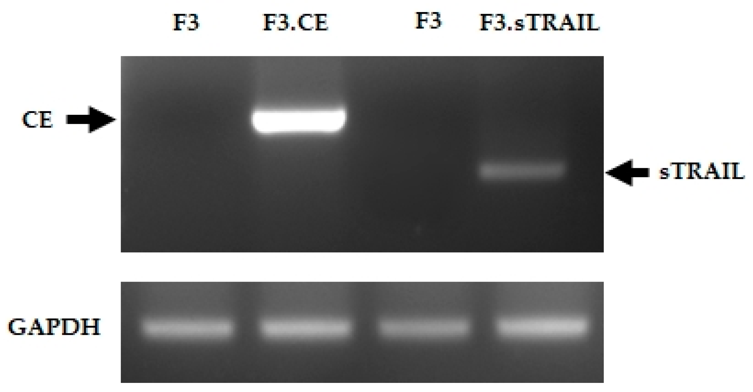 Pharmaceuticals 16 01156 g001 Pharmaceuticals 16 01156 g001