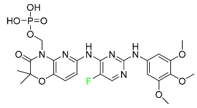 Pharmaceuticals 16 01162 i029 Pharmaceuticals 16 01162 i029