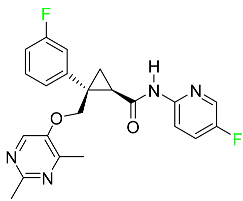 Pharmaceuticals 16 01162 i034 Pharmaceuticals 16 01162 i034