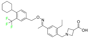 Pharmaceuticals 16 01162 i051 Pharmaceuticals 16 01162 i051