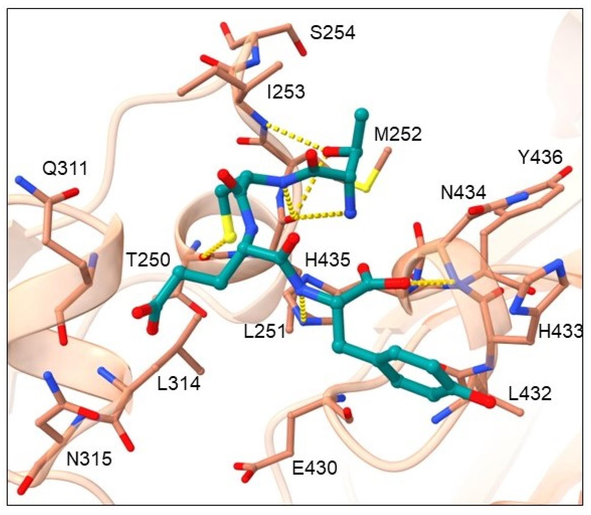 Pharmaceuticals 16 01170 g007
