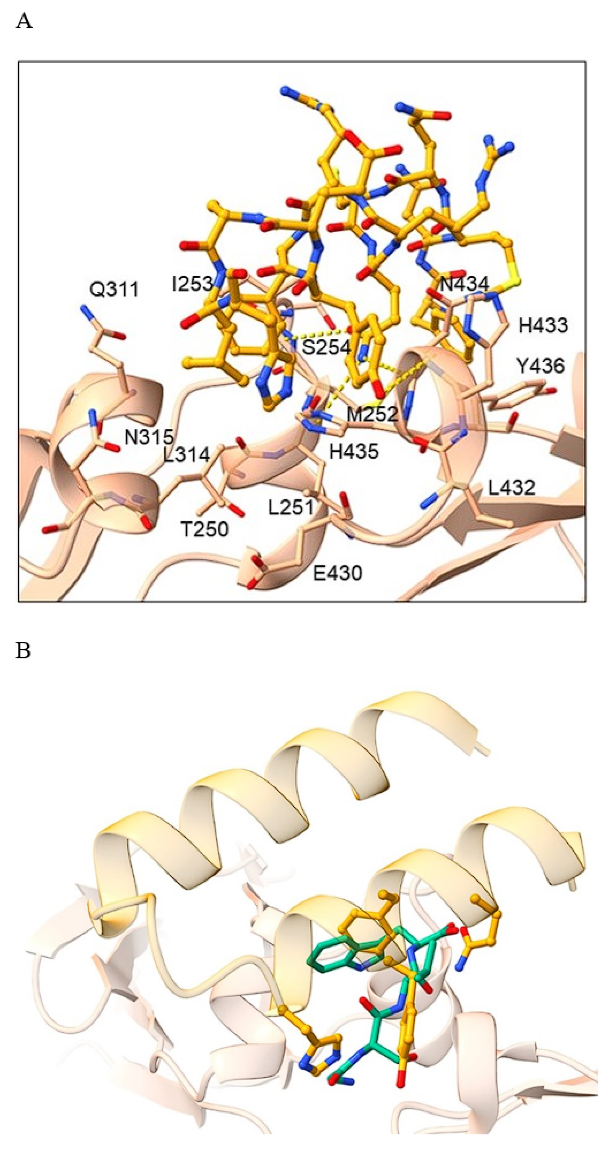 Pharmaceuticals 16 01170 g016