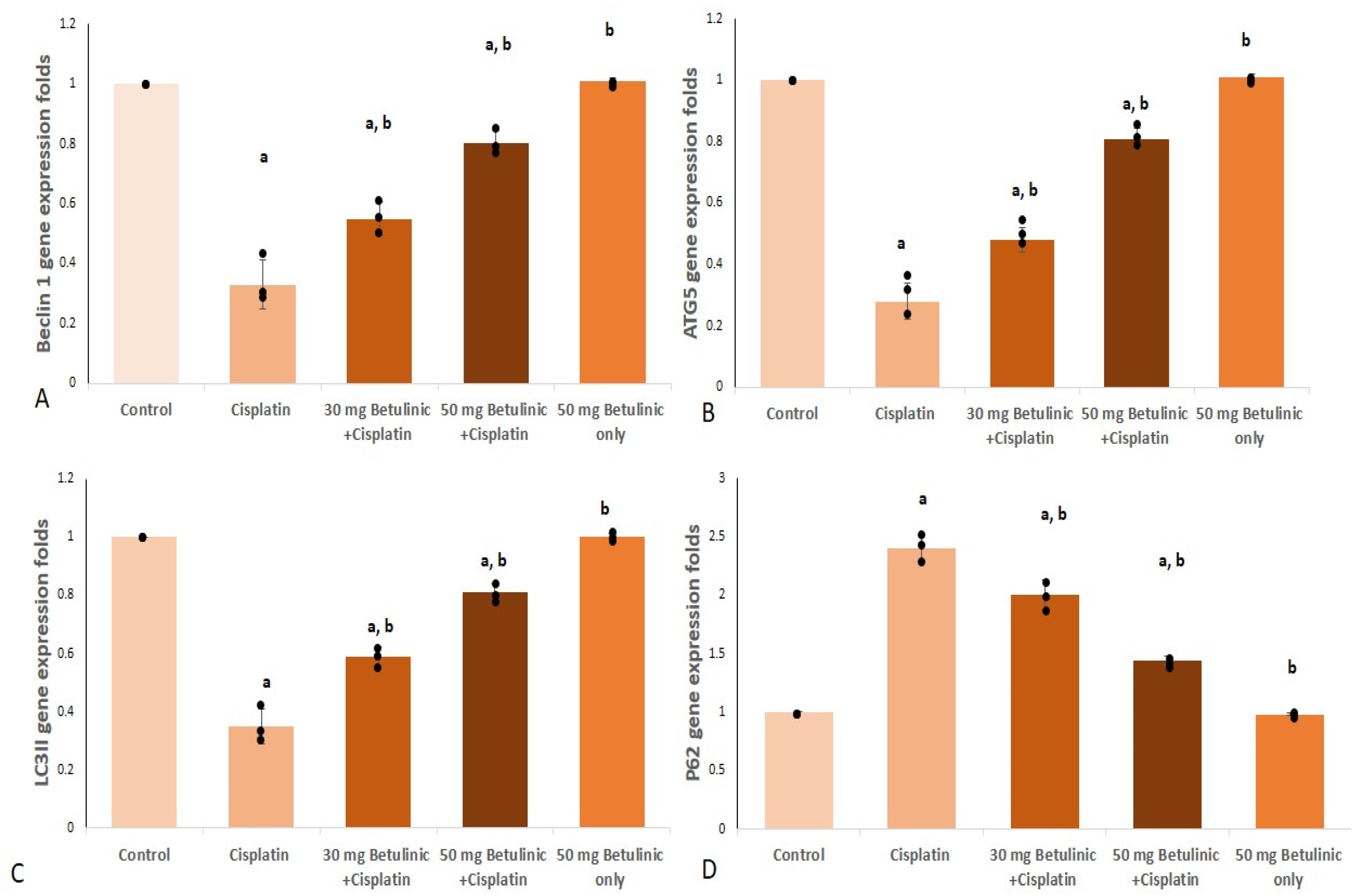 Pharmaceuticals 16 01180 g004 Pharmaceuticals 16 01180 g004