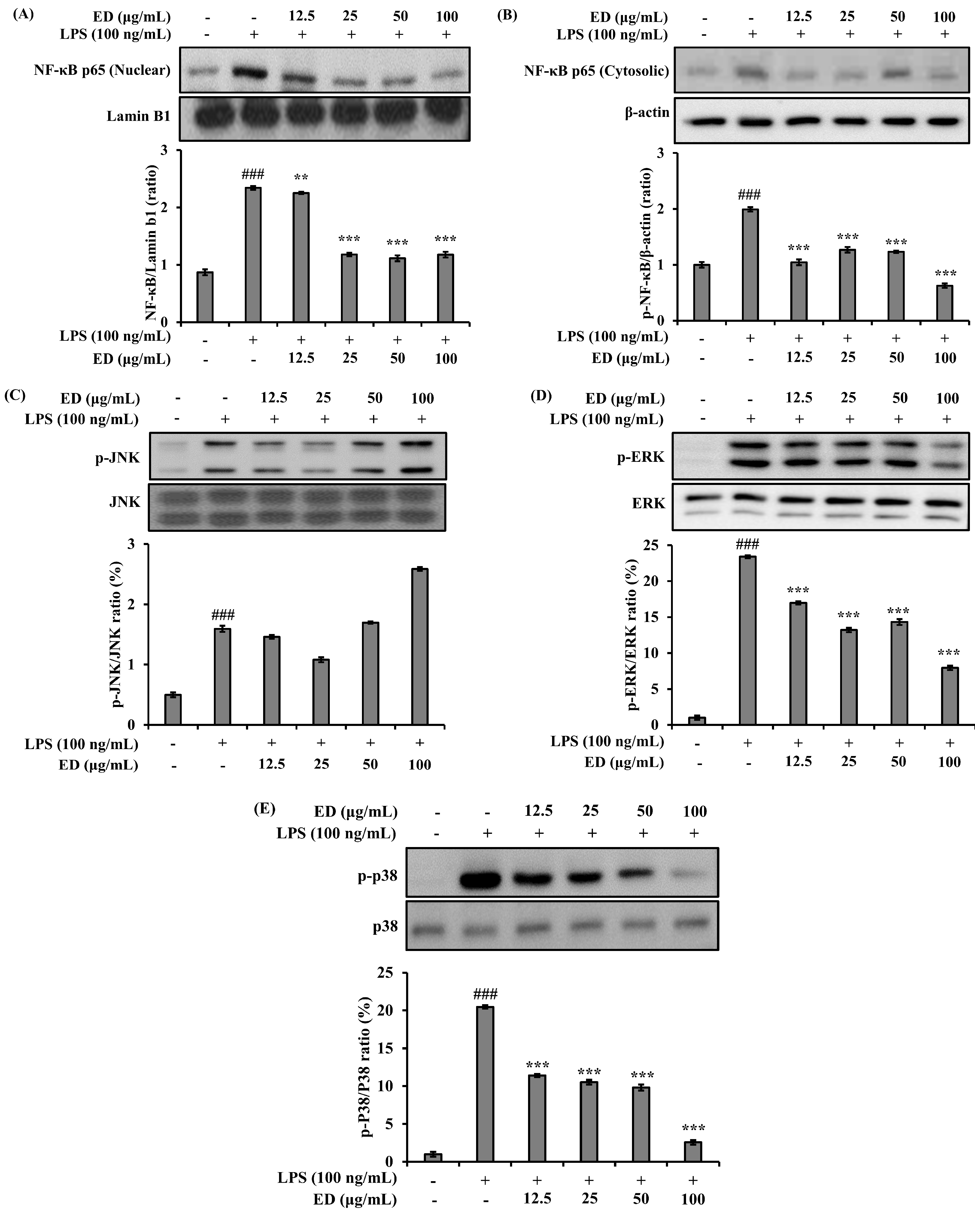 Pharmaceuticals 16 01185 g003