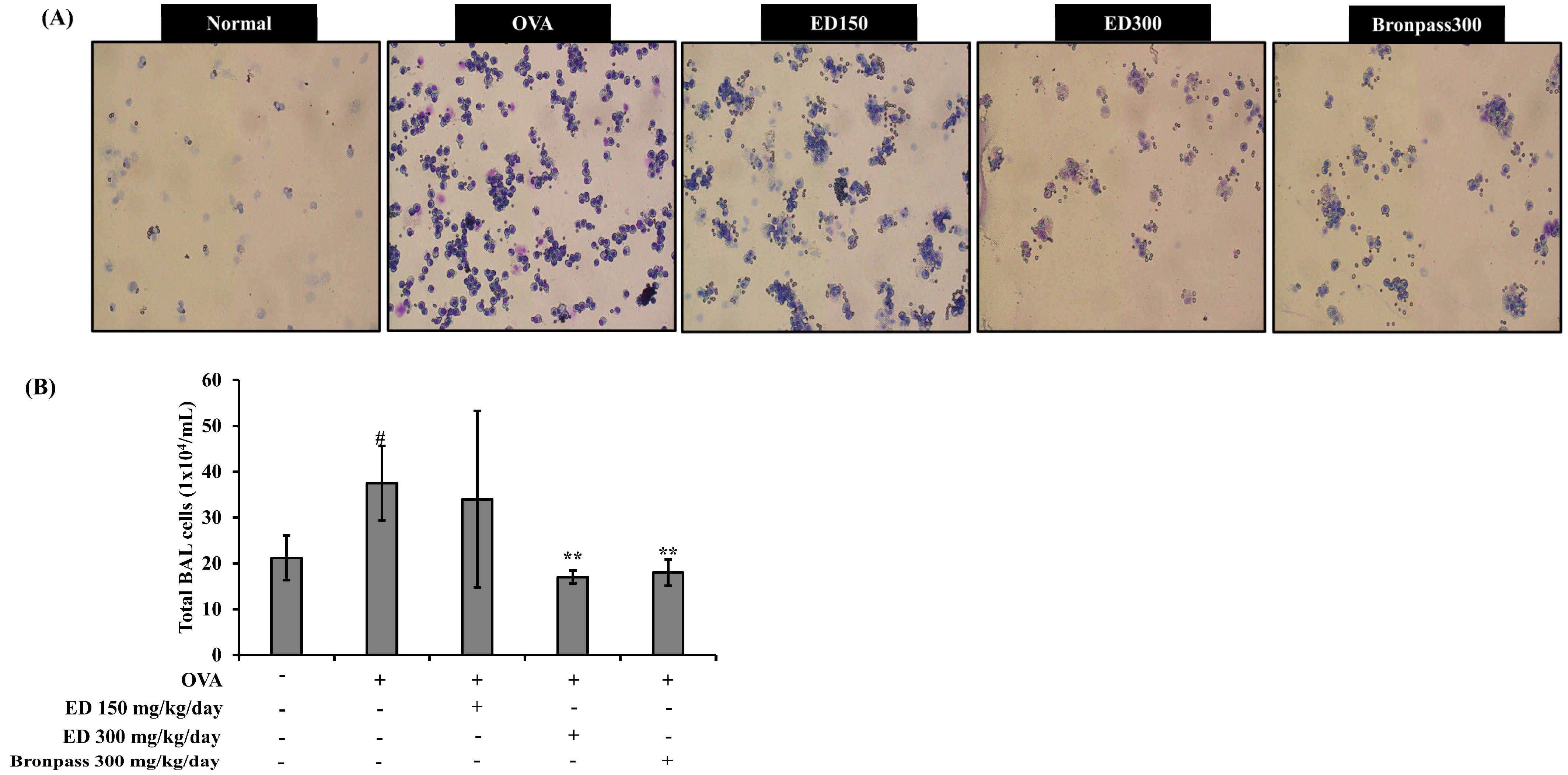 Pharmaceuticals 16 01185 g004