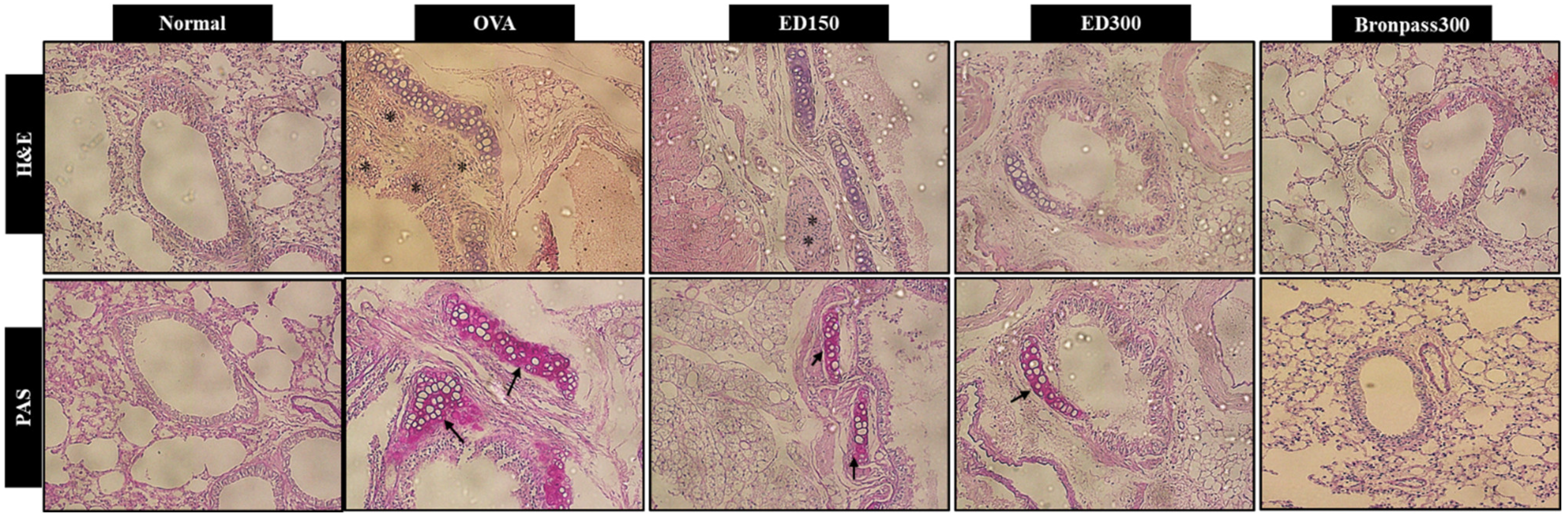 Pharmaceuticals 16 01185 g005