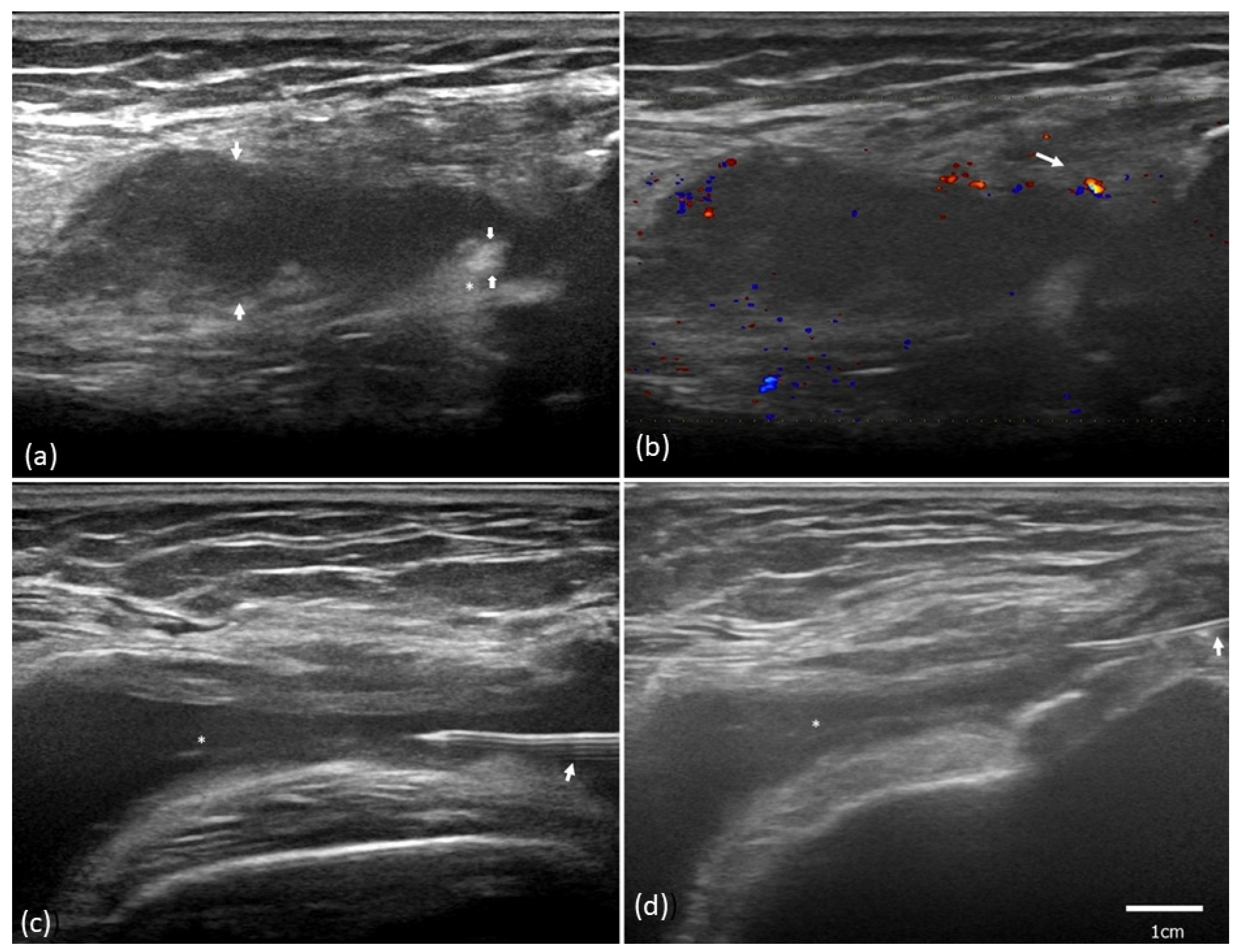 Pharmaceuticals 16 01186 g003